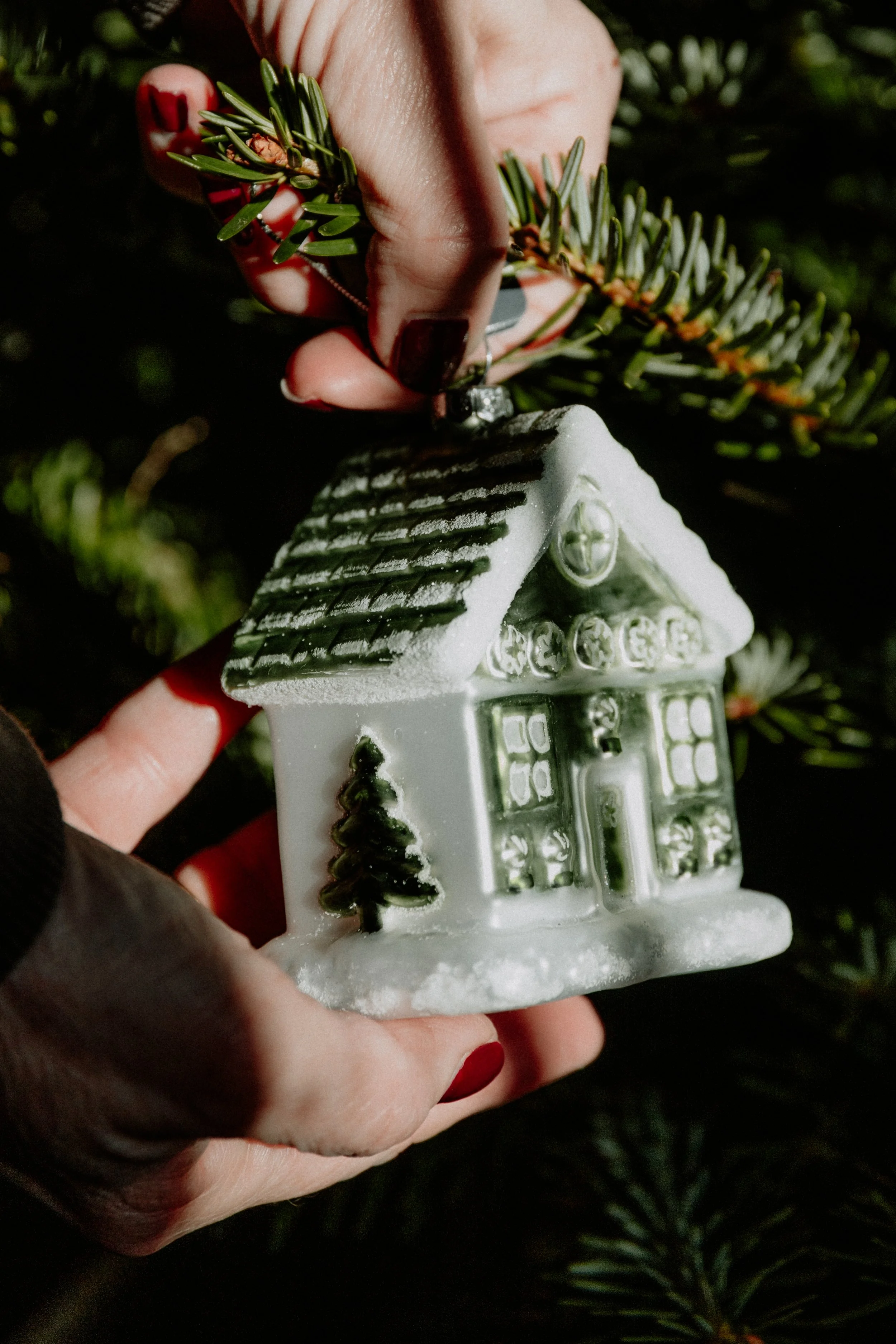 MSD - GG Xmas Stock-33.jpg