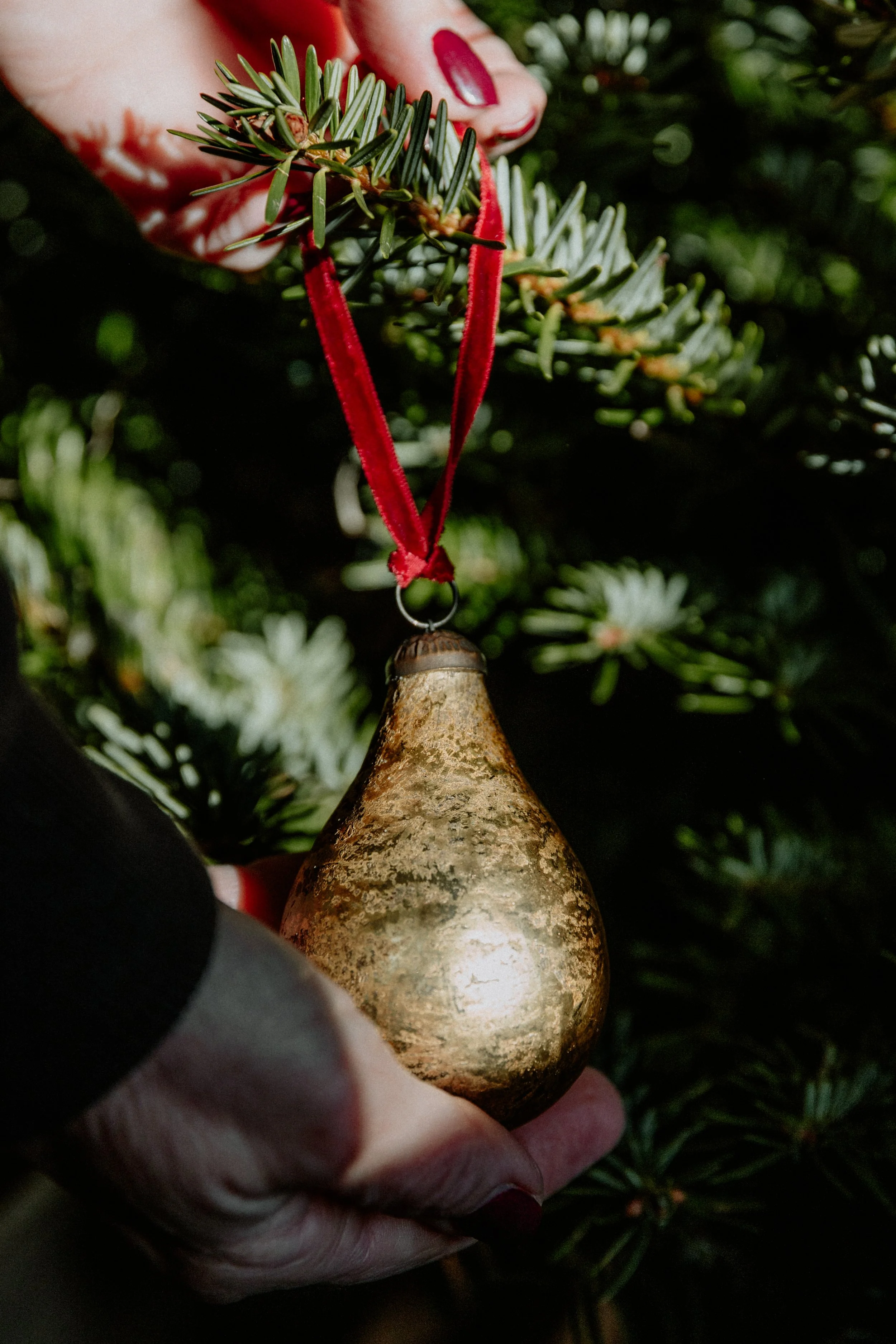 MSD - GG Xmas Stock-34.jpg