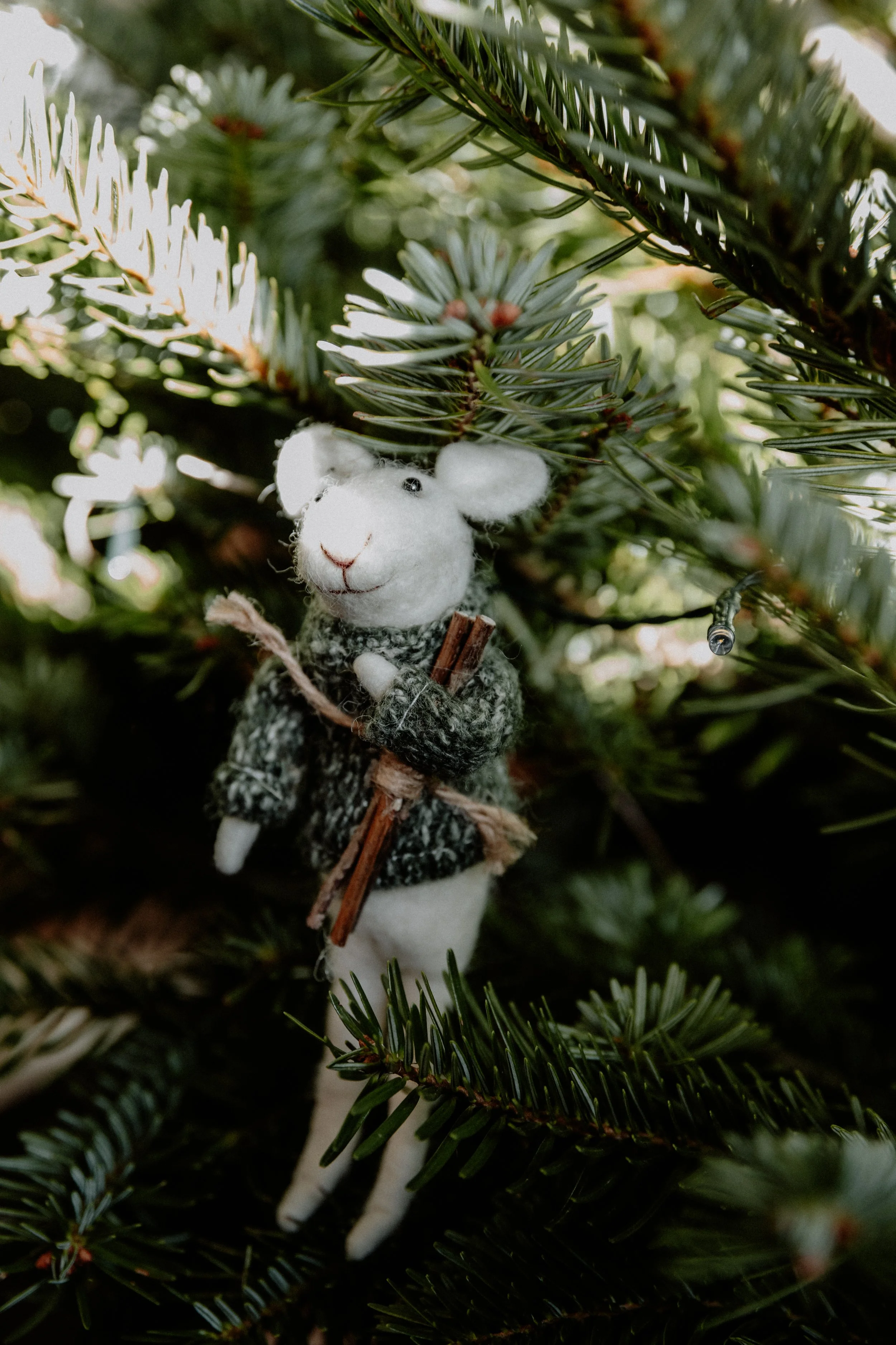 MSD - GG Xmas Stock-29.jpg