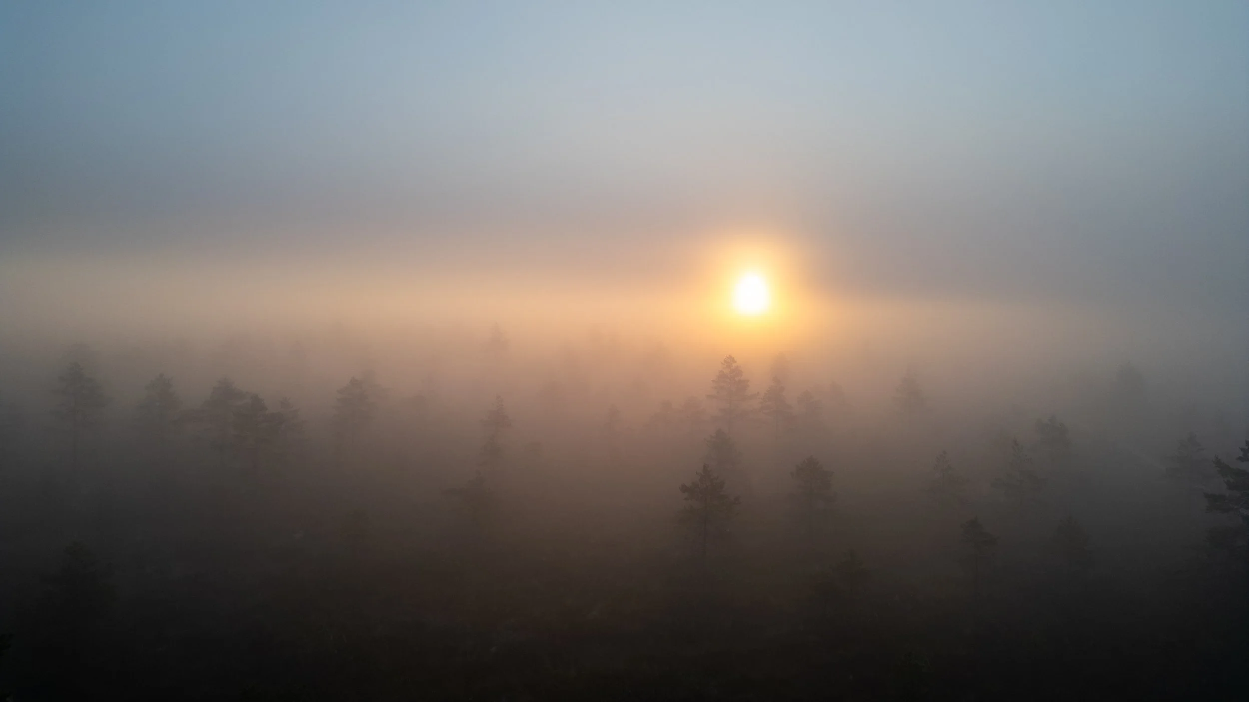 droonifoto-foto-liis-reiman (6 of 56).jpg