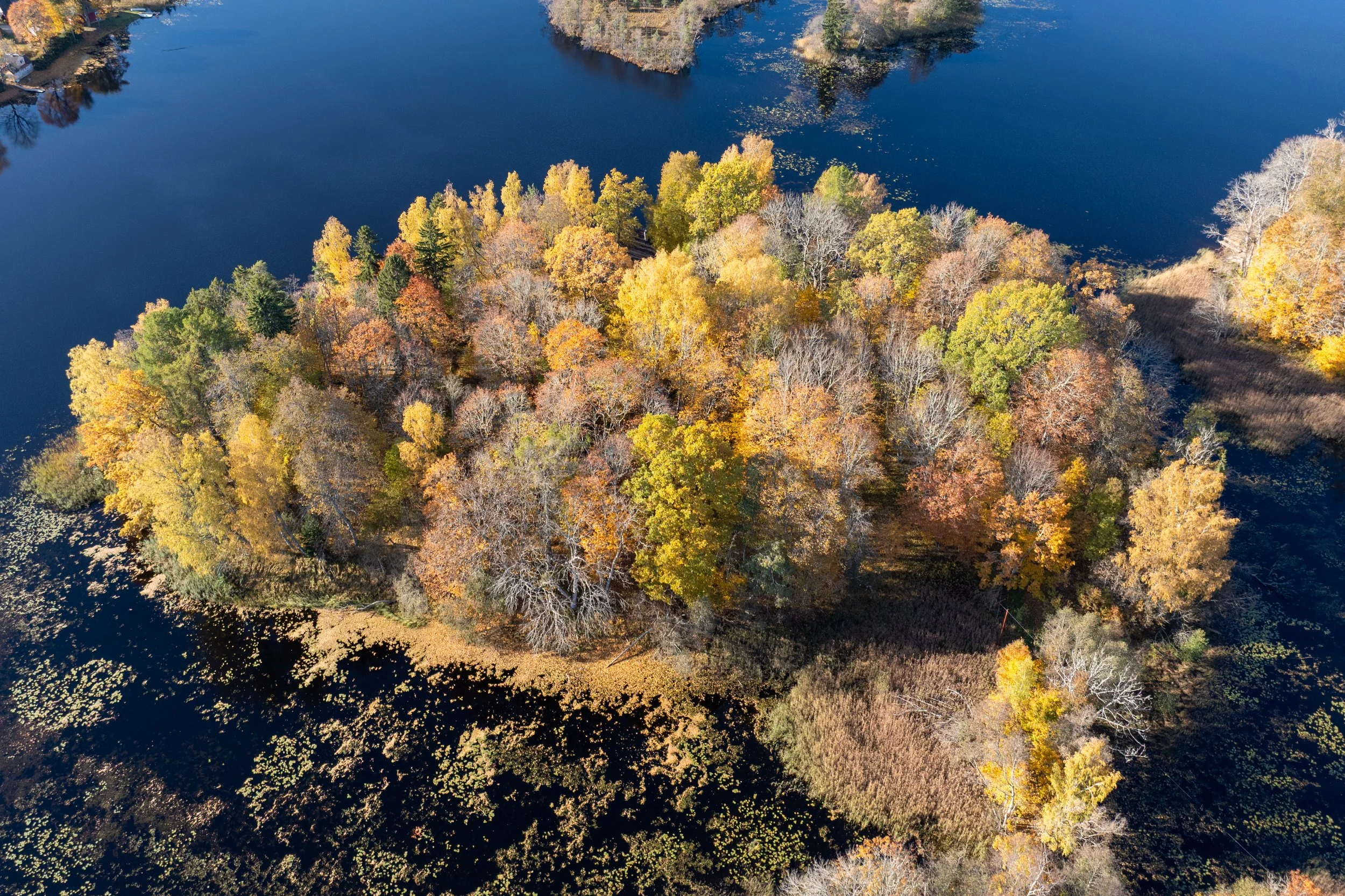 droonifoto-foto-liis-reiman (9 of 56).jpg