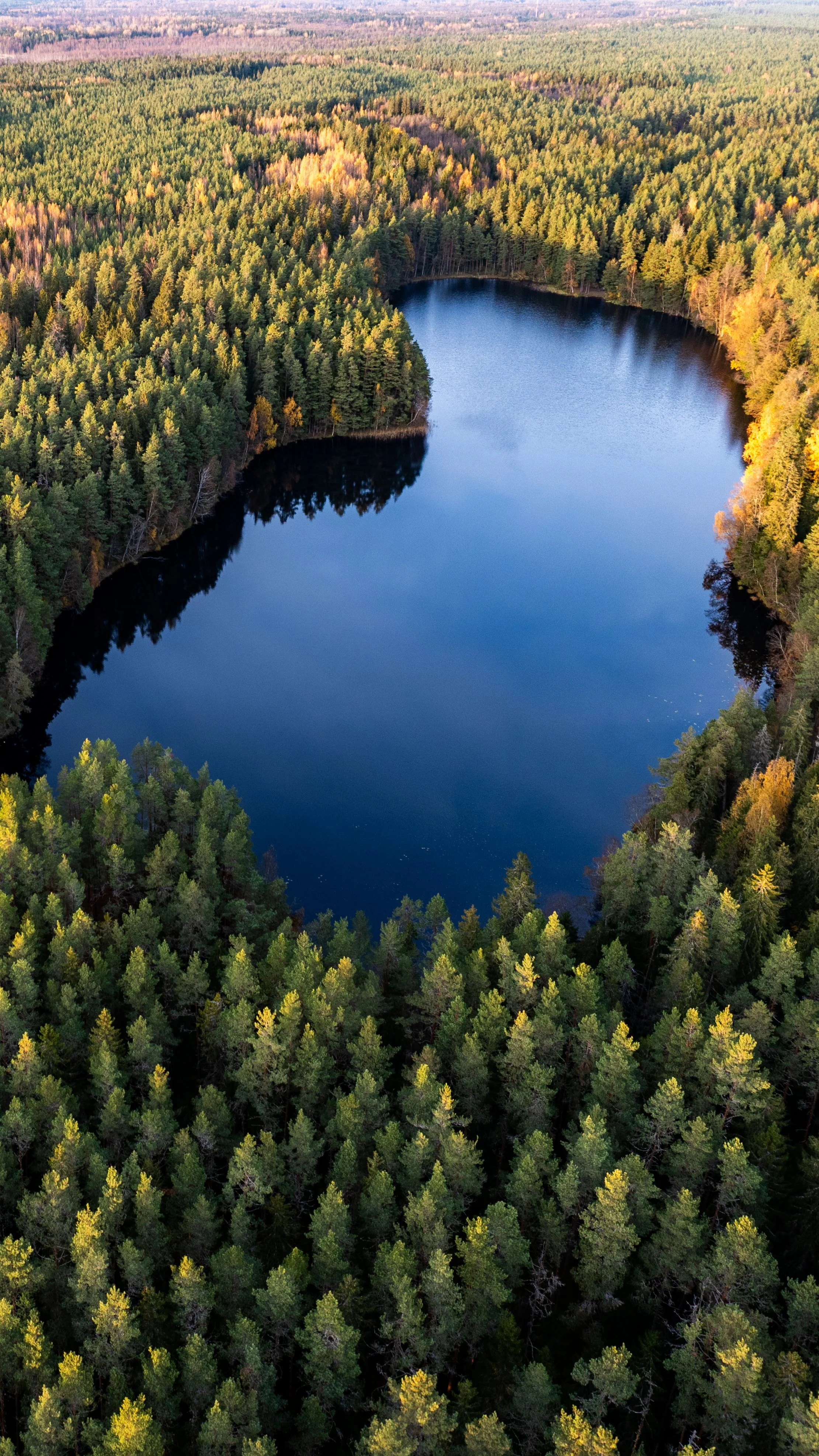droonifoto-foto-liis-reiman (12 of 56).jpg