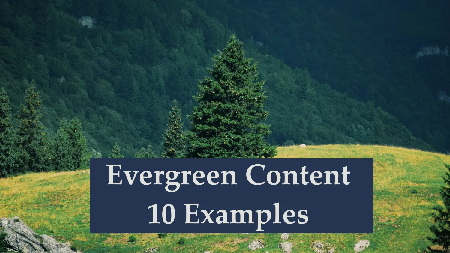 10 Examples of Evergreen Content