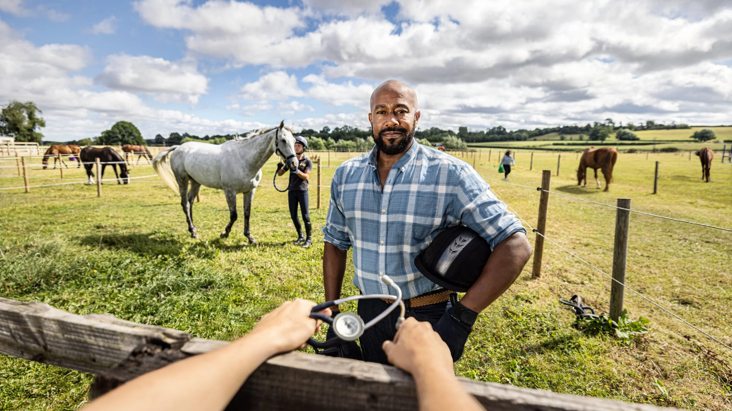 Dechra: The Veterinary Perspective