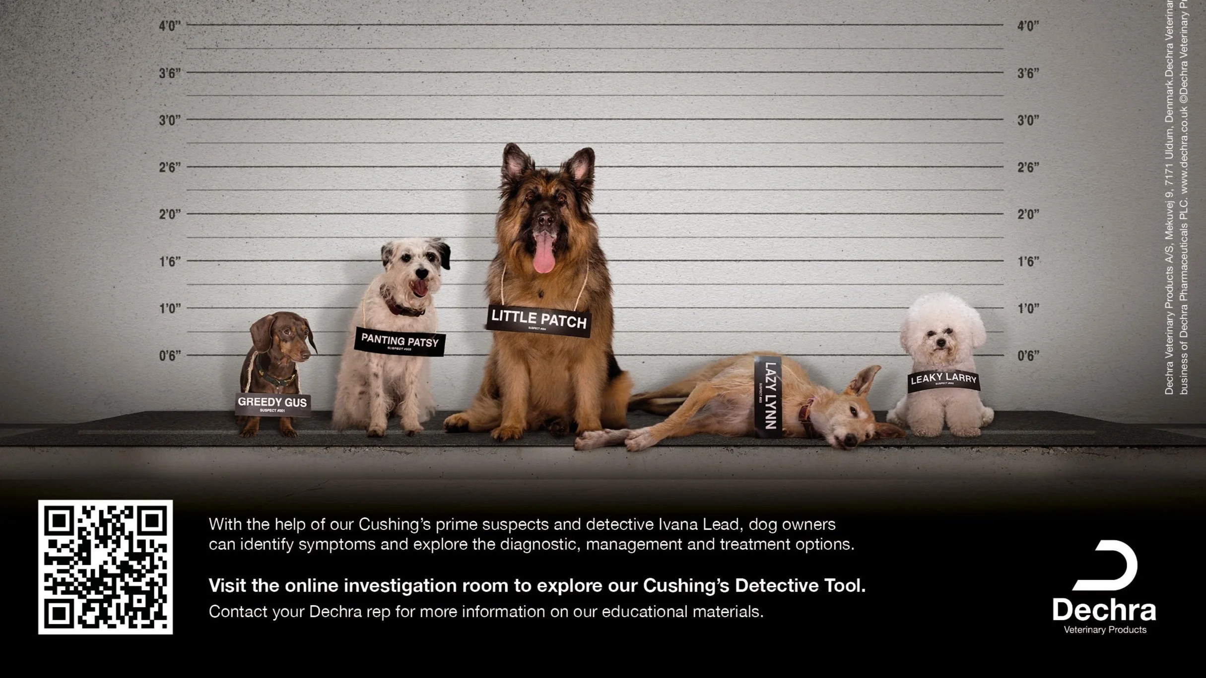 29397.011_Dechra_Vetoryl_PrintAds_A5_May08_text.jpg