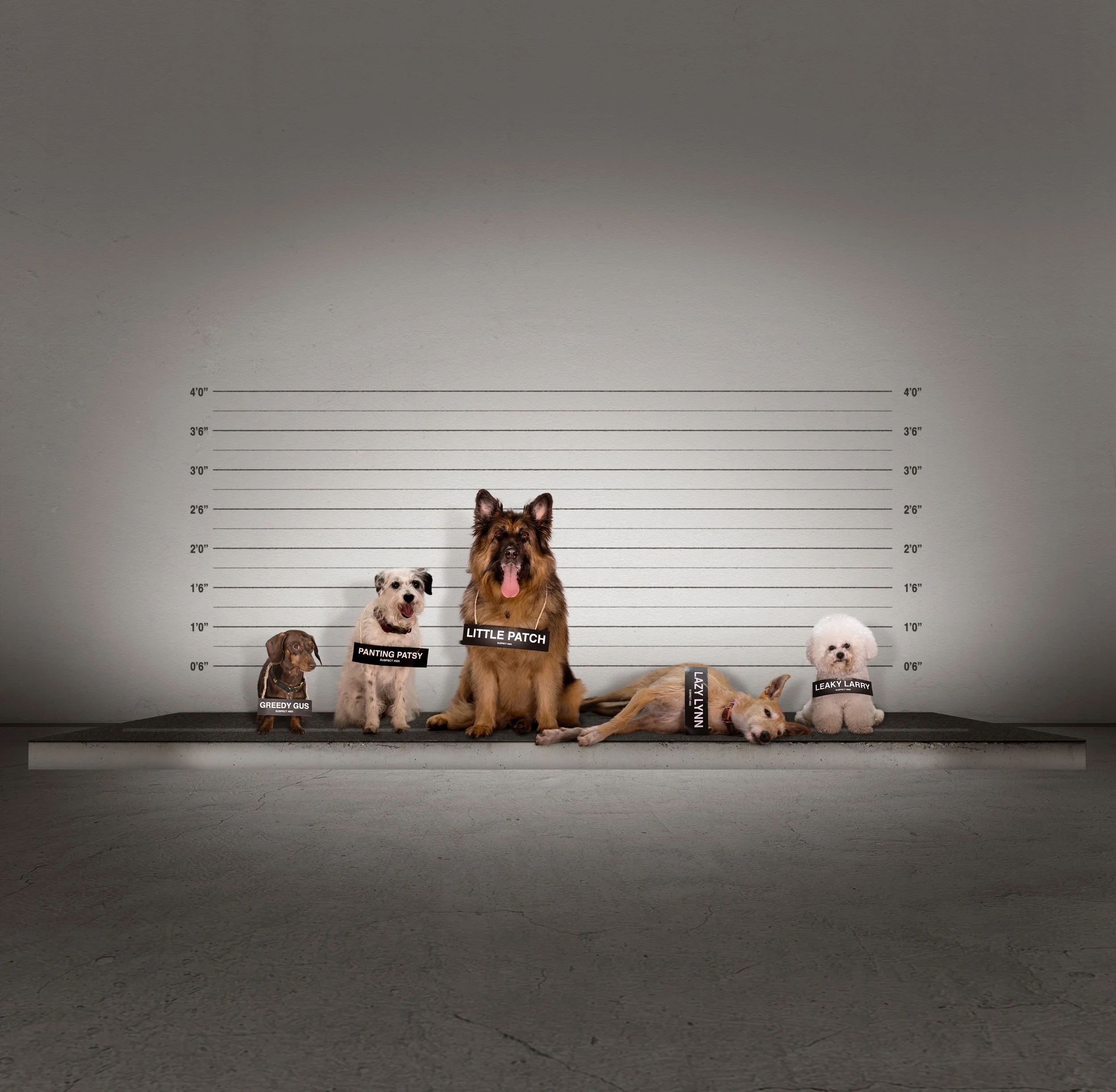 Dechra: Suspecting Cushing's