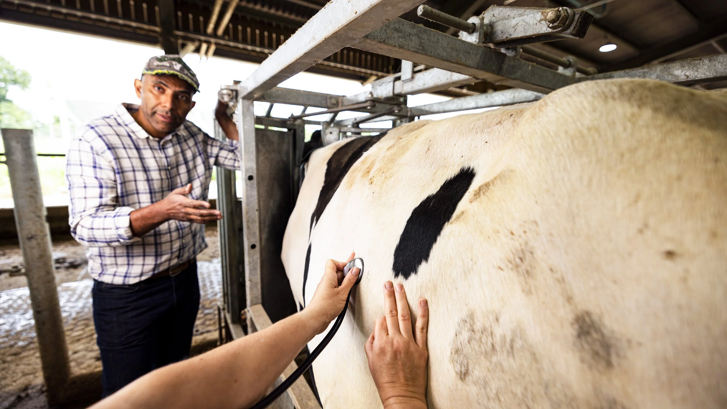 Vet Perspective_Day3_Farm-4213.jpg