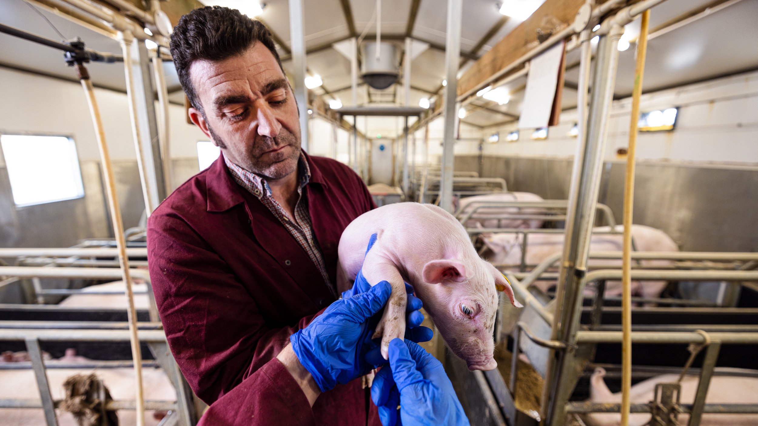 Vet Perspective_Day3_Farm-4825.jpg