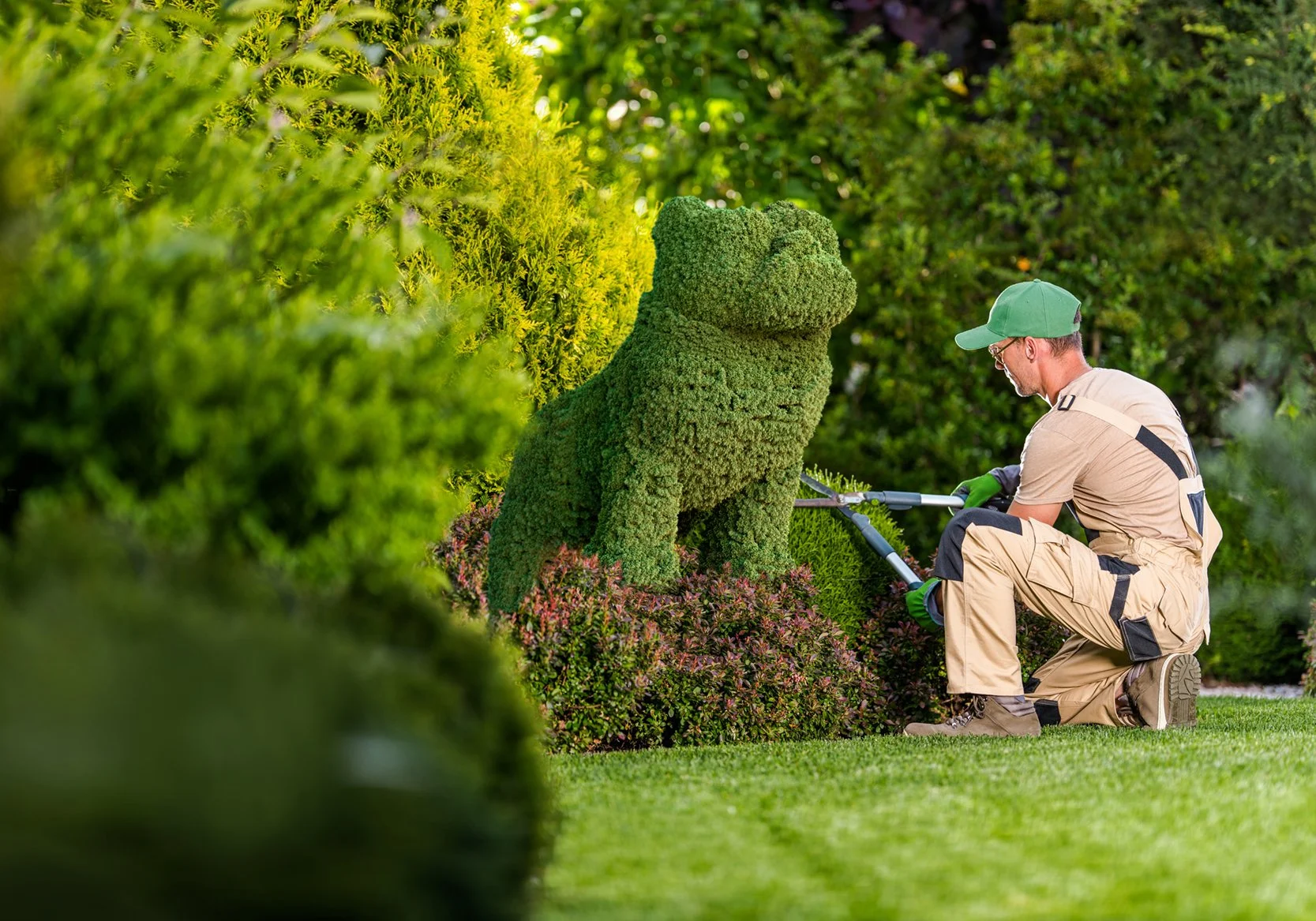Mack_BrandCampaign_Topiary.jpg