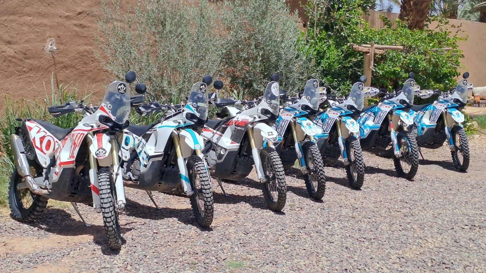 WhatsApp Image 2025-12-01 at 10.21.52 (2).jpeg