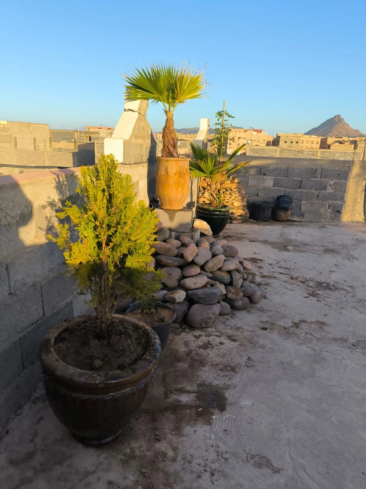 WhatsApp Image 2025-12-06 at 13.37.56 (1).jpeg