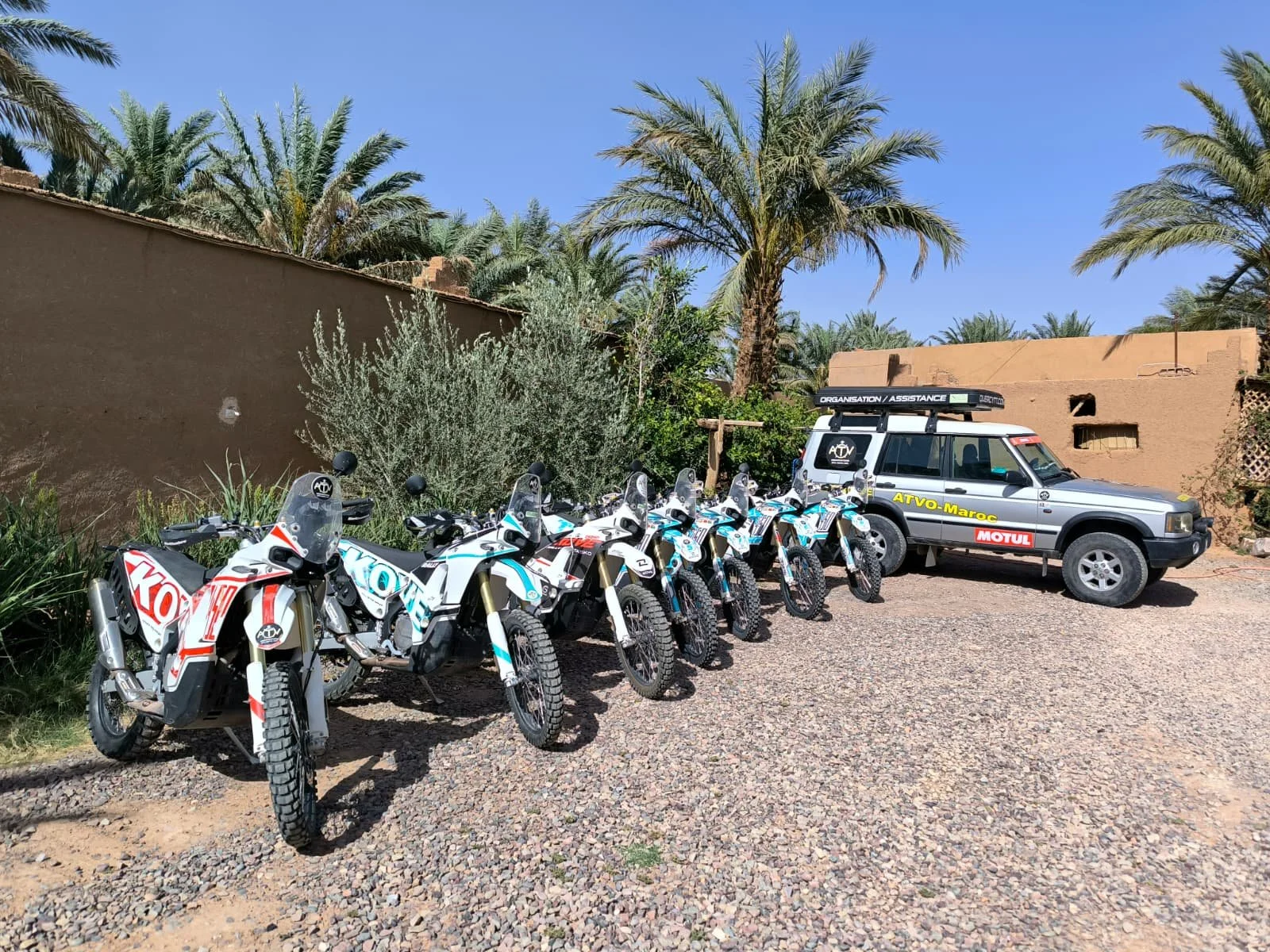 WhatsApp Image 2025-12-03 at 21.35.50 (1).jpeg