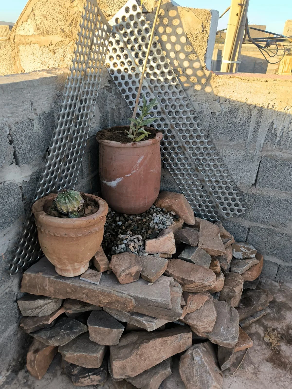 WhatsApp Image 2025-12-06 at 13.37.56 (2).jpeg