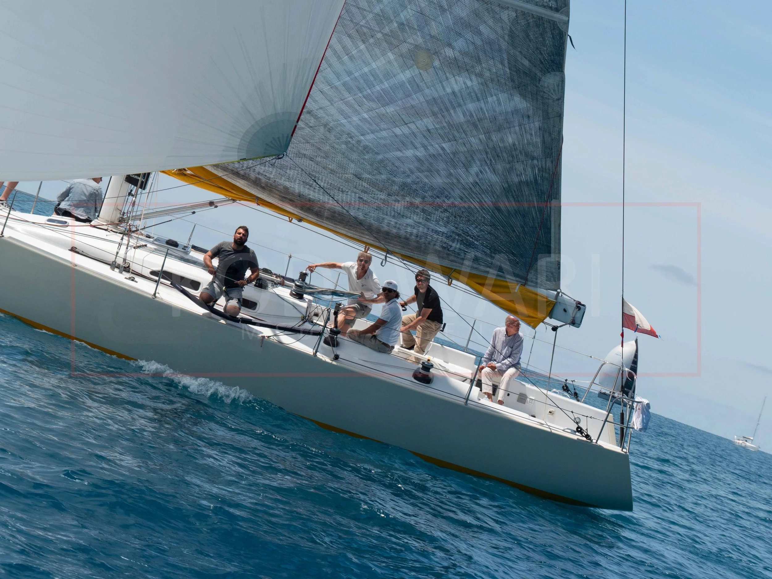 P1586855.jpg