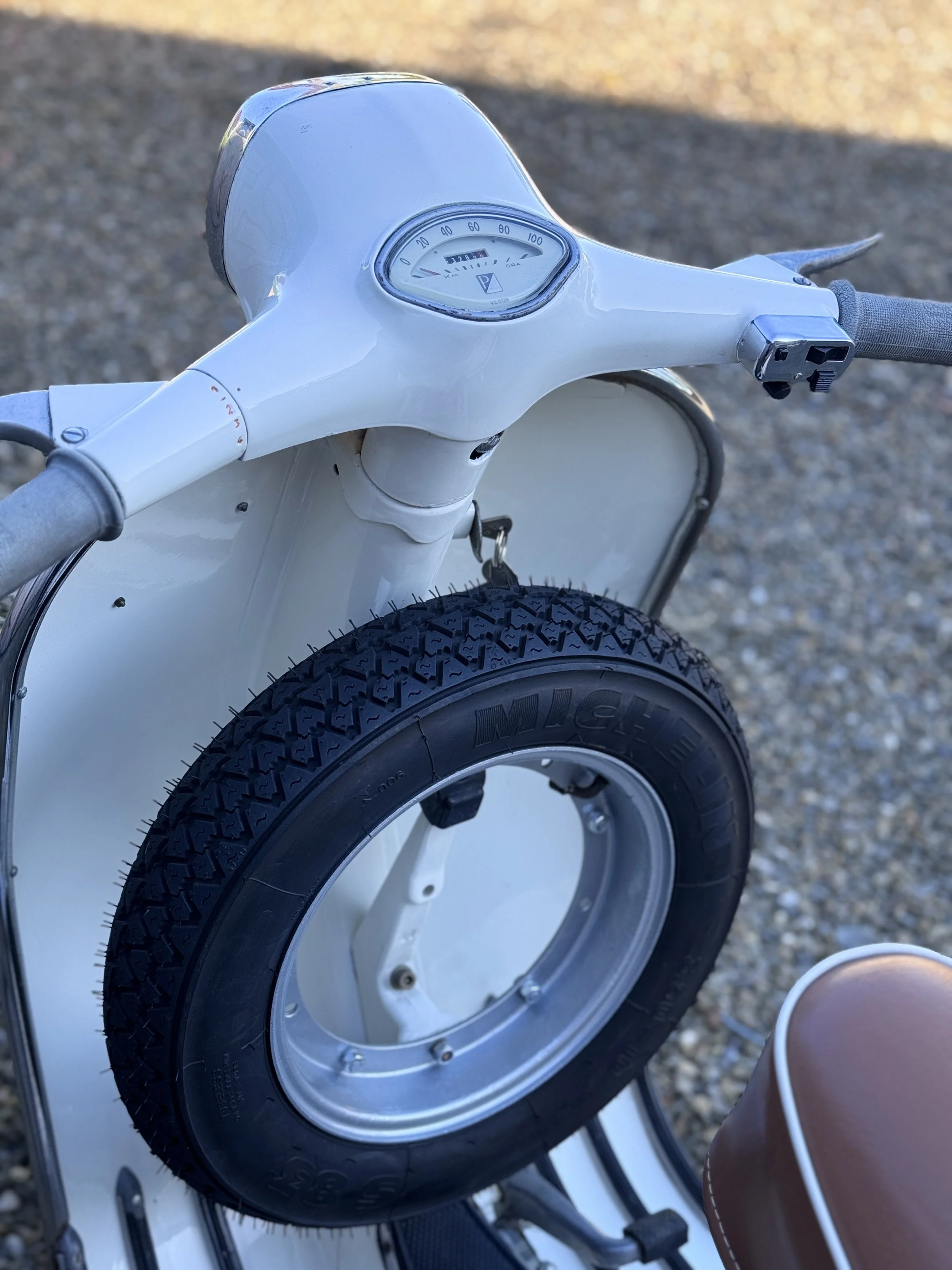 IMG_1729.jpeg