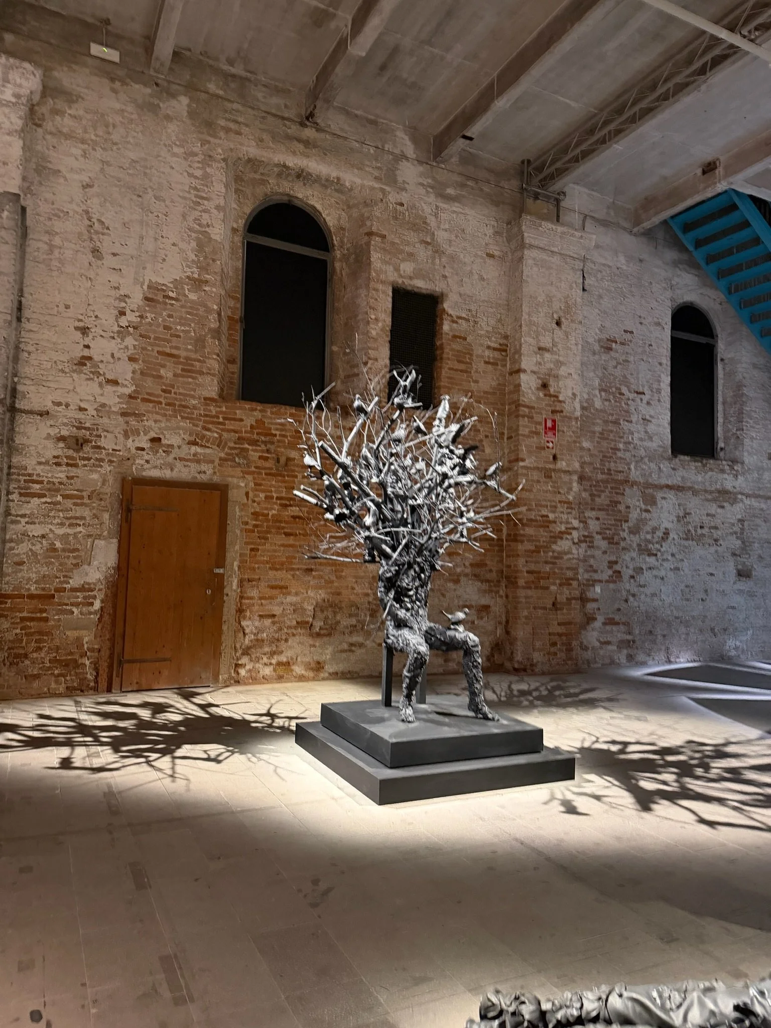 Everything That Must Be Seen at the Venice Biennale 2026