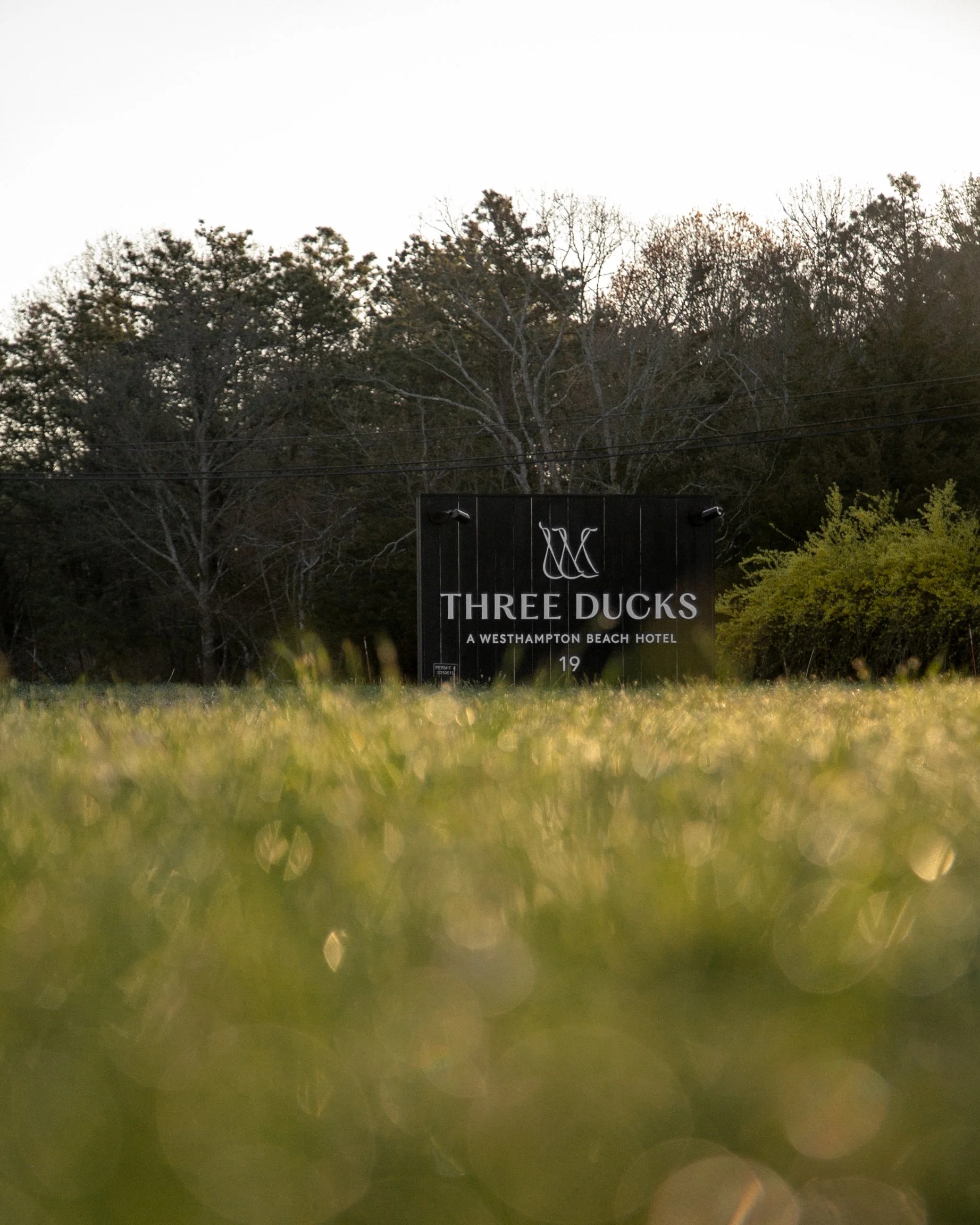 ThreeDucks_by_LeviWalton_20.jpg