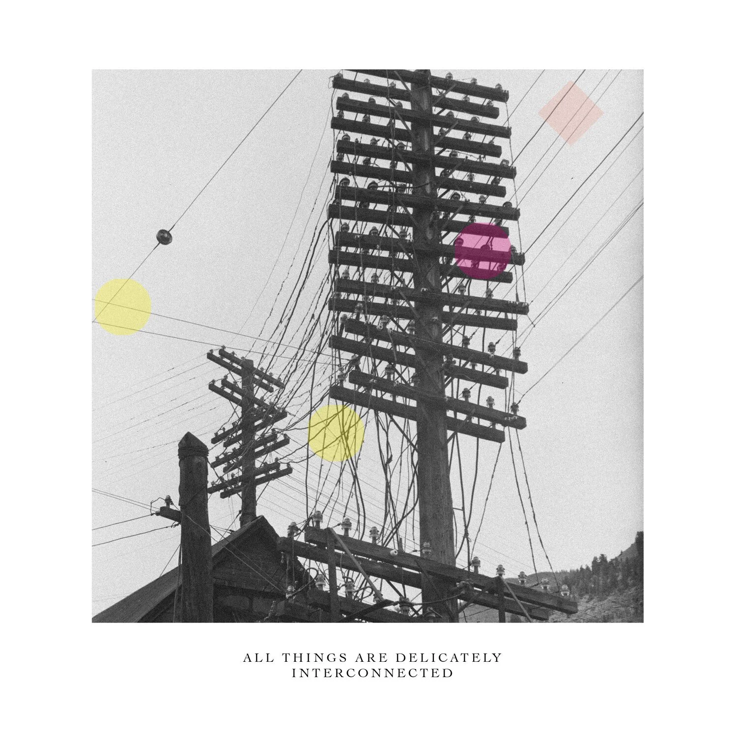 All+things+are+delicately+interconnected.jpg