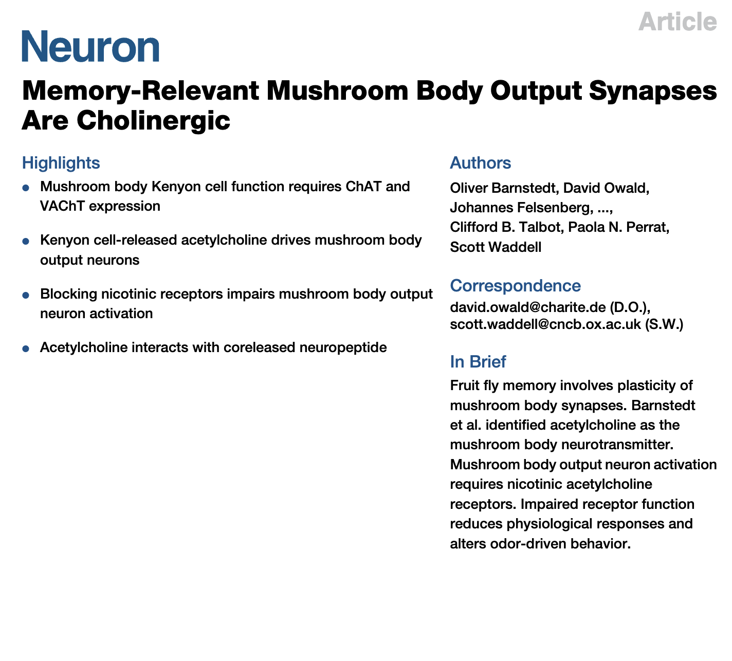 Screenshot 2024-04-30 at 08.44.52.png