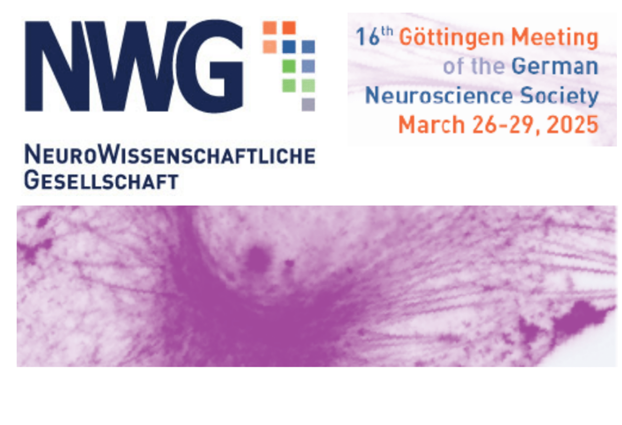 nwg-2025.png