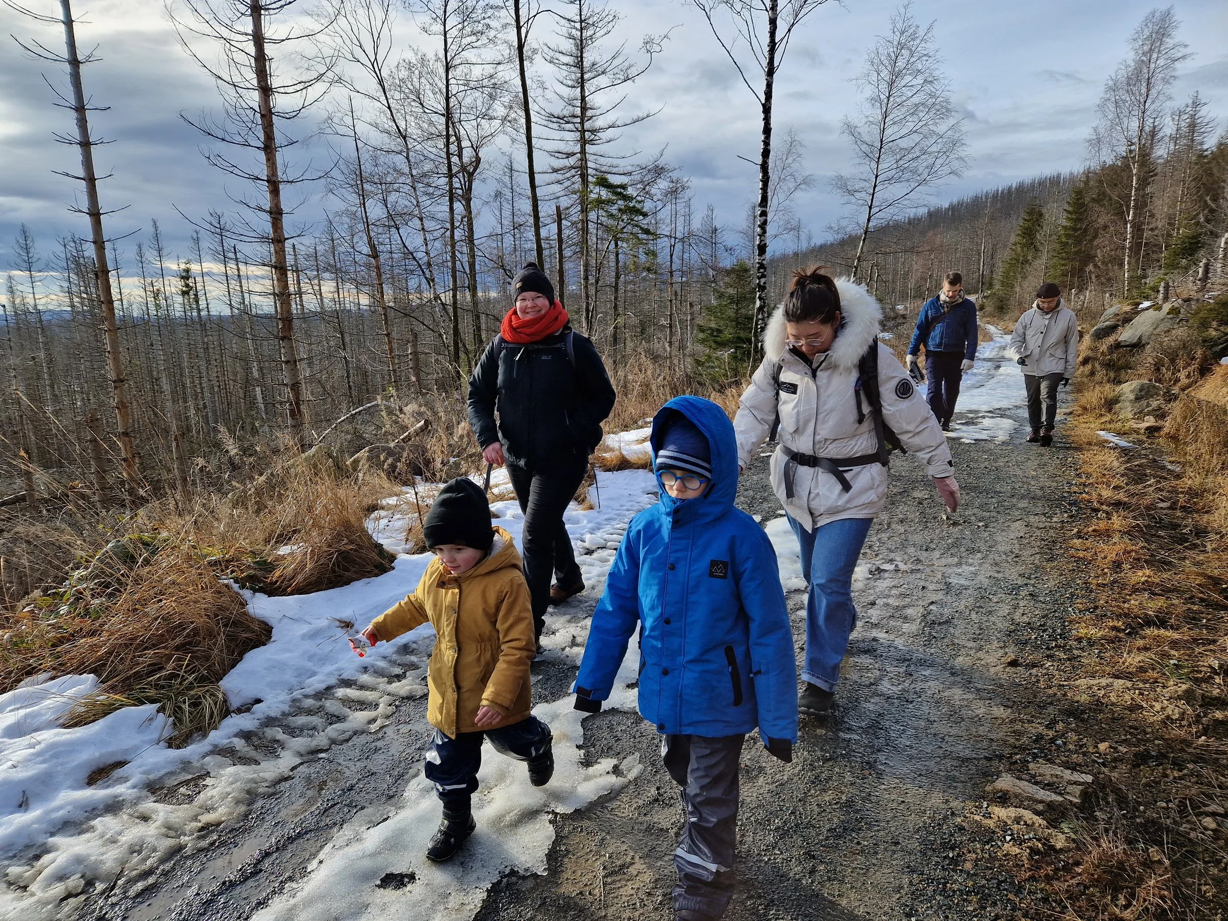 Lab outing to Harz Mountains
