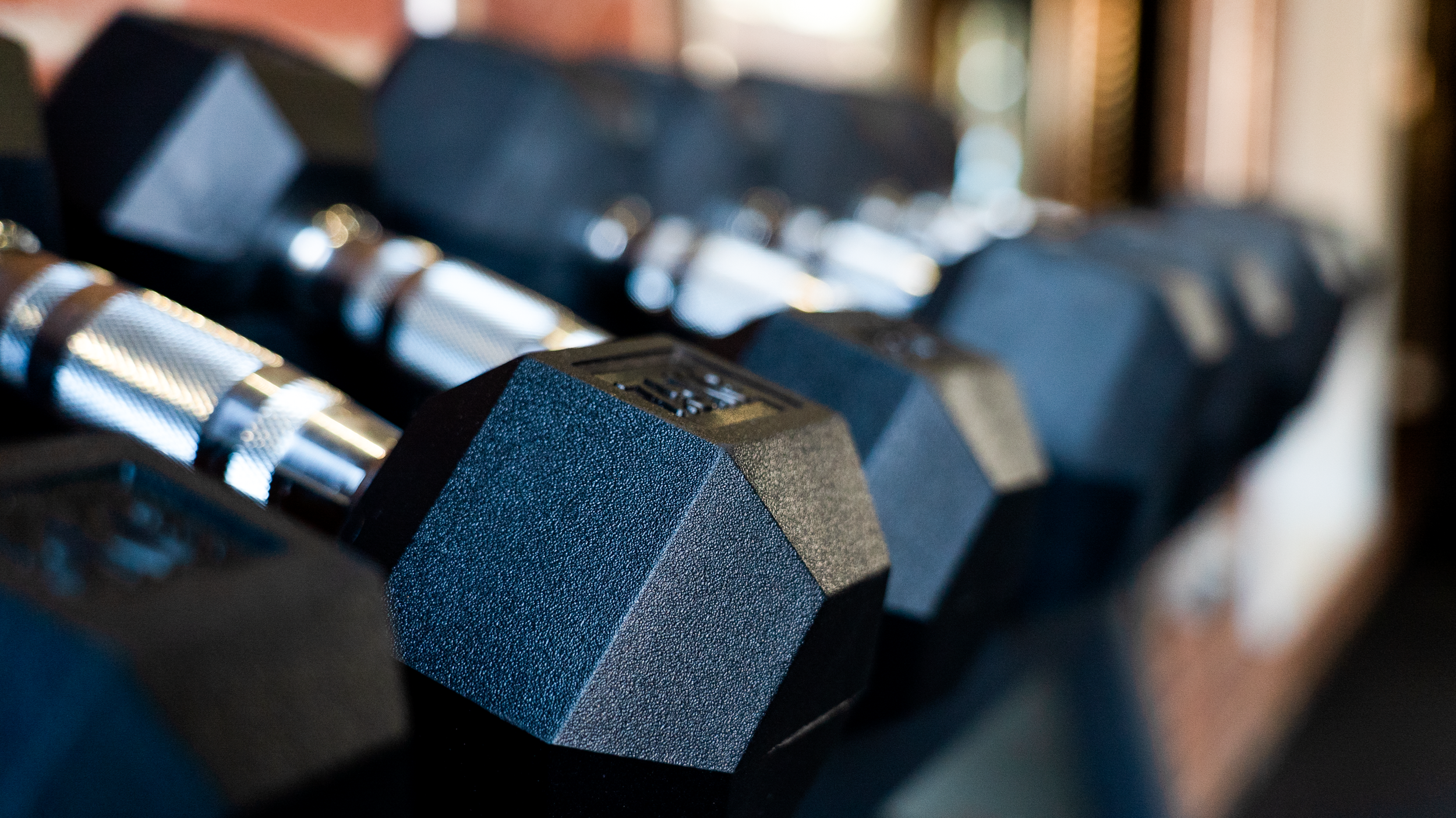 The Best Beginner Workout Plan for 2026 (No Gym Needed)