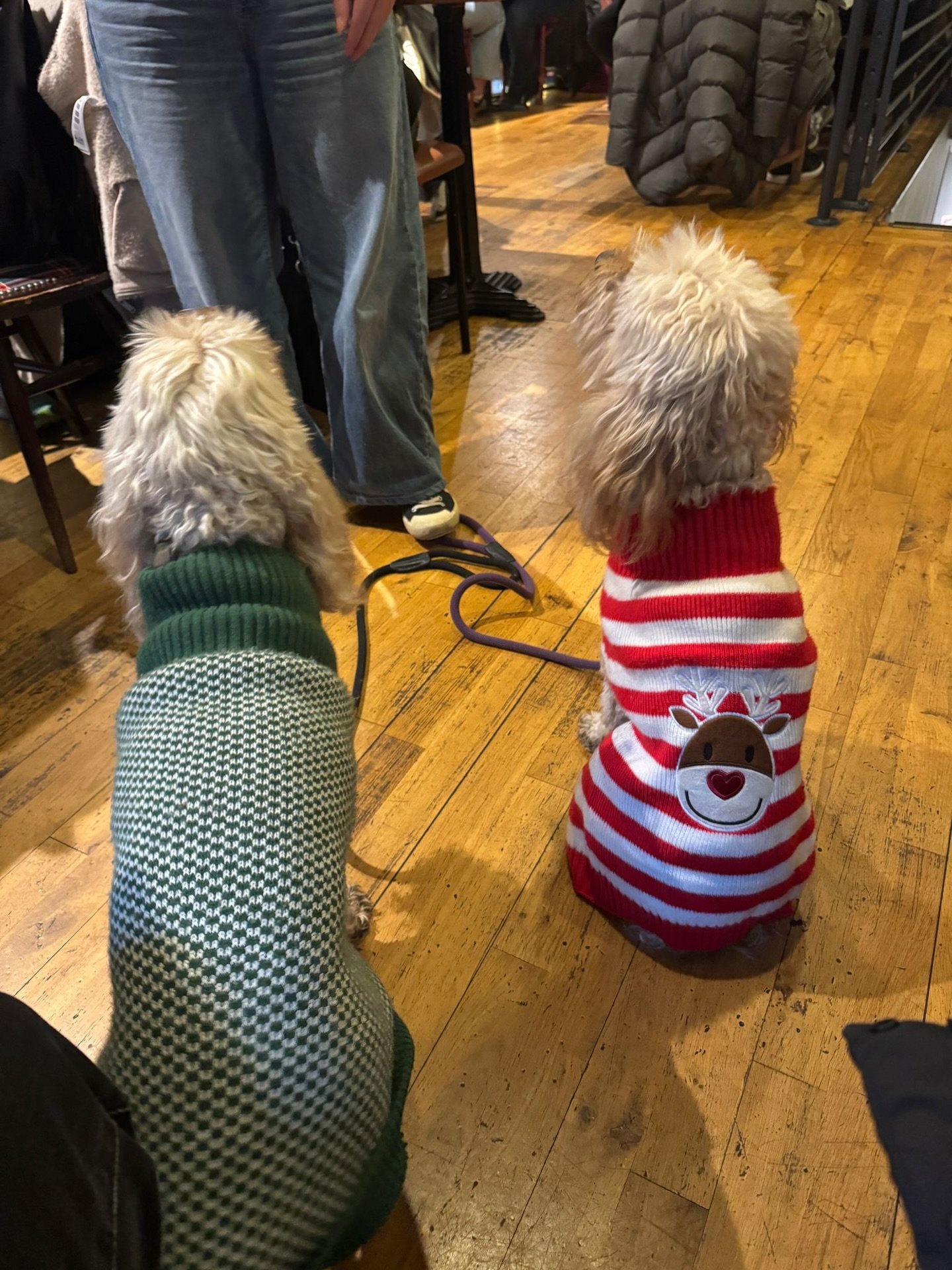 HAPPY NEW YEAR SINGL-ENDERS 🥂🎇

start of the new year scenes with our cast &amp; crew (four legged edition). 2025 ty, next ➡️

we&rsquo;re closed today for a little reset, but we&rsquo;ll be back open tomorrow 9am&ndash;4pm serving up all your favo