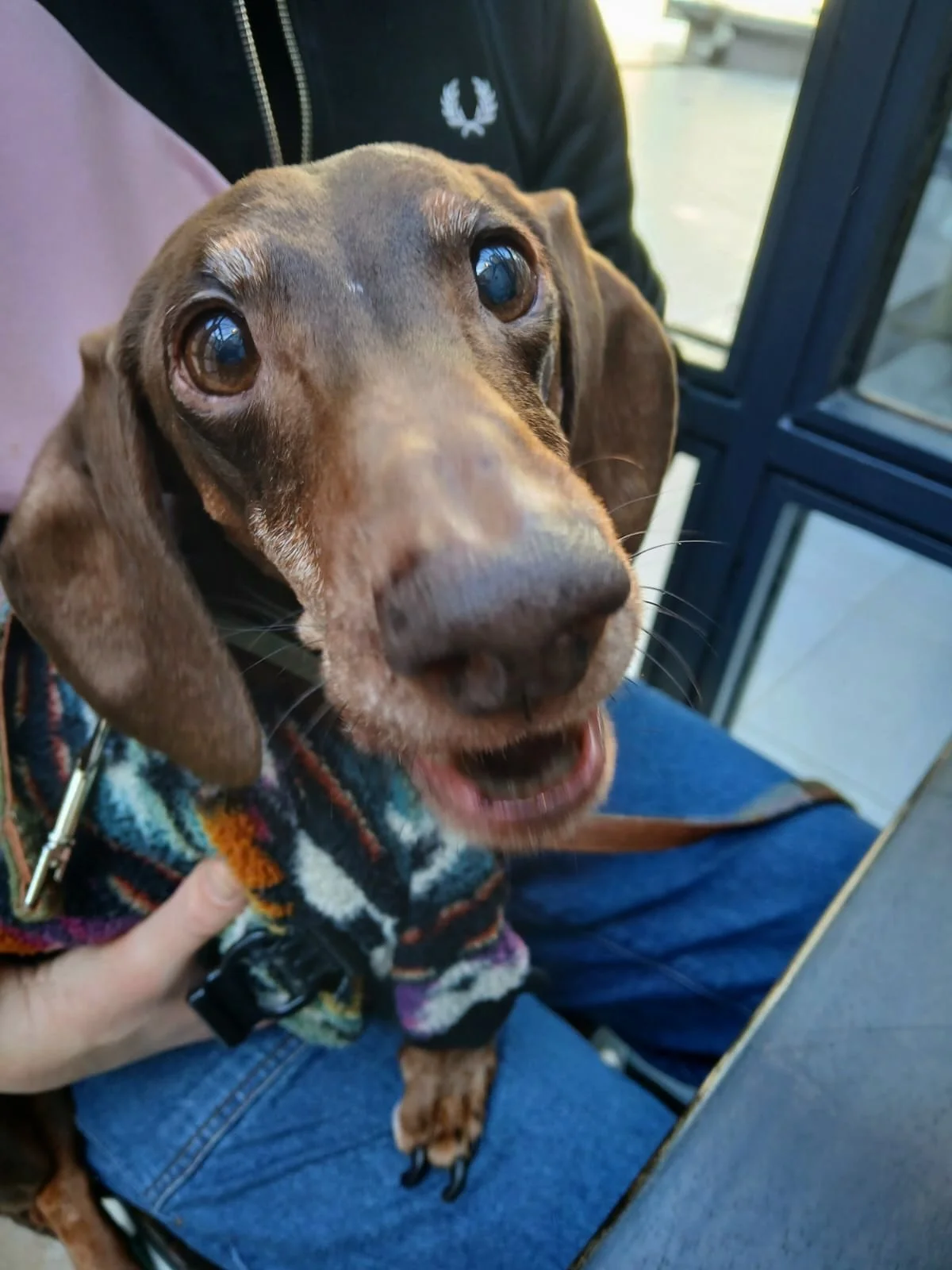💭are both our venues dog friendly? 🐕🐩

YES!! 

here are some of our fur-regulars that have visited us at merchant city recently 👀