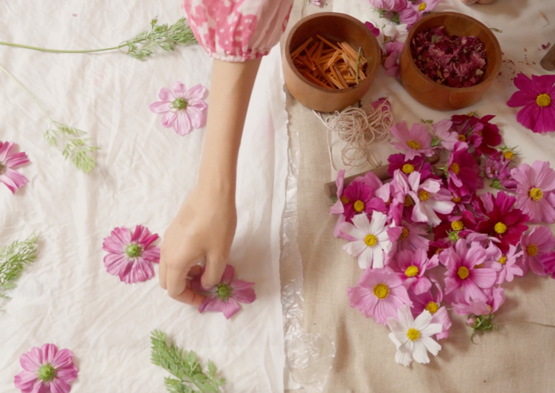 Jaixia A Soft Place To Land