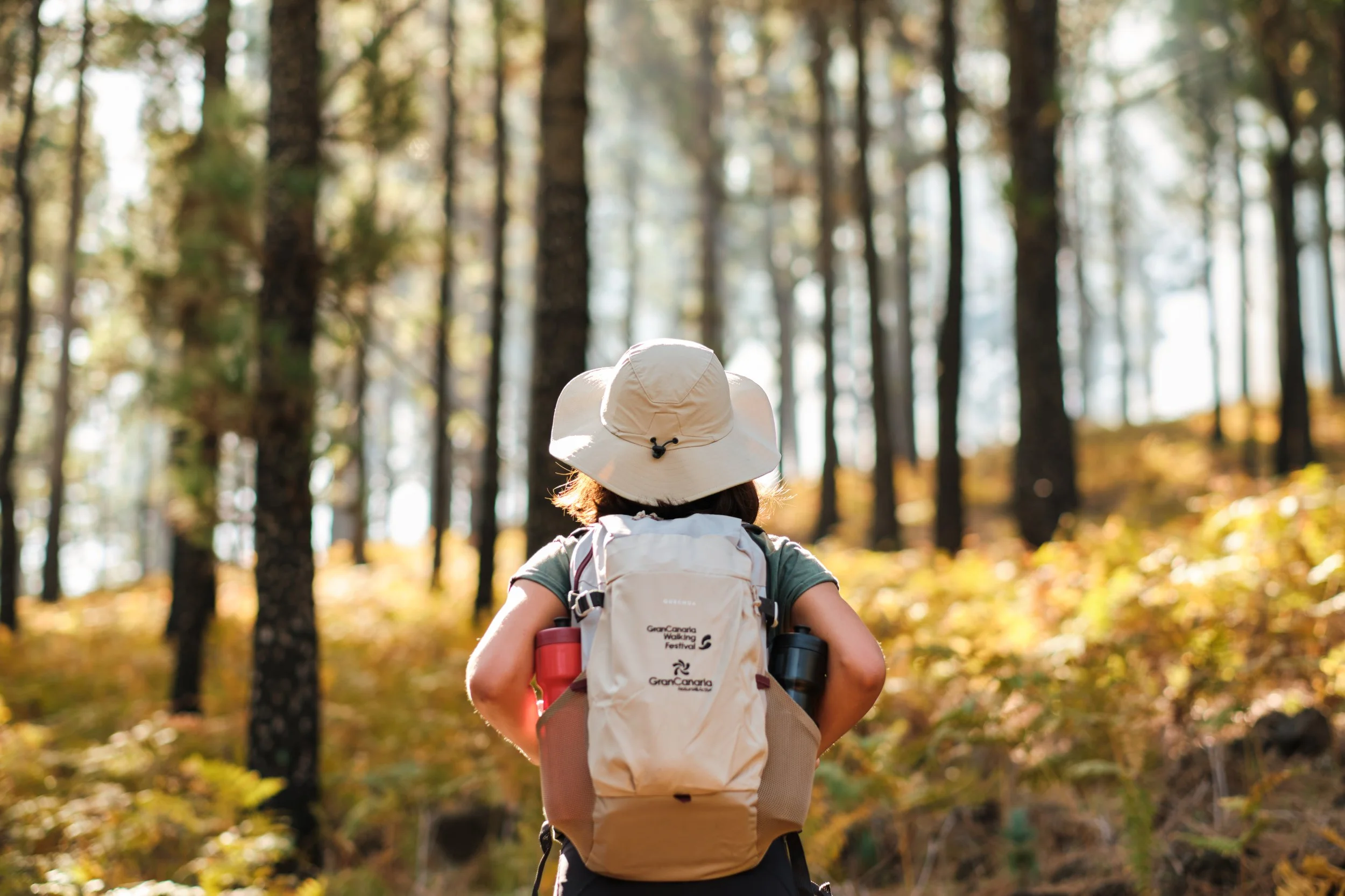 GC Walking Festival - Cabildo de Gran Canaria