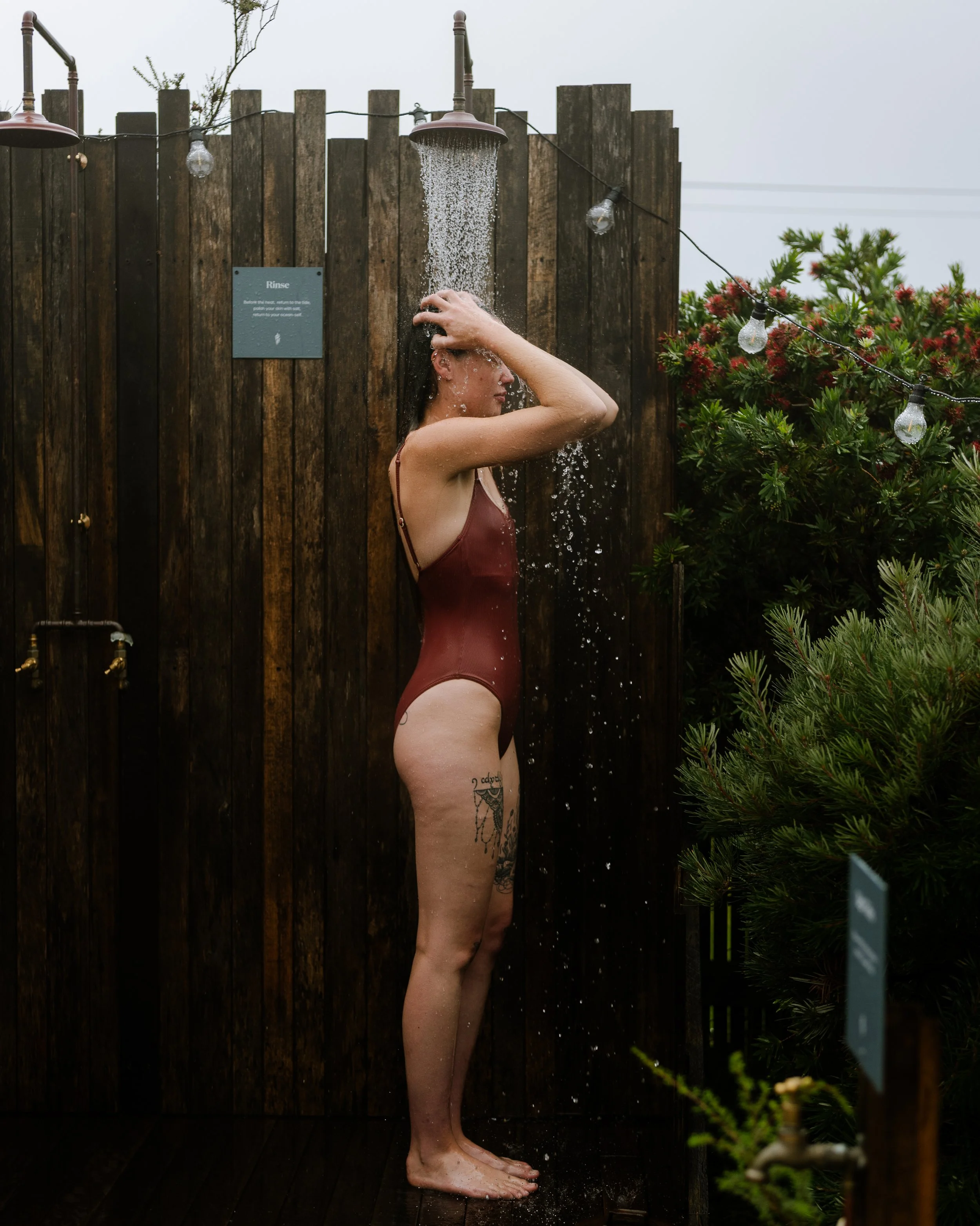 _1042659.jpg