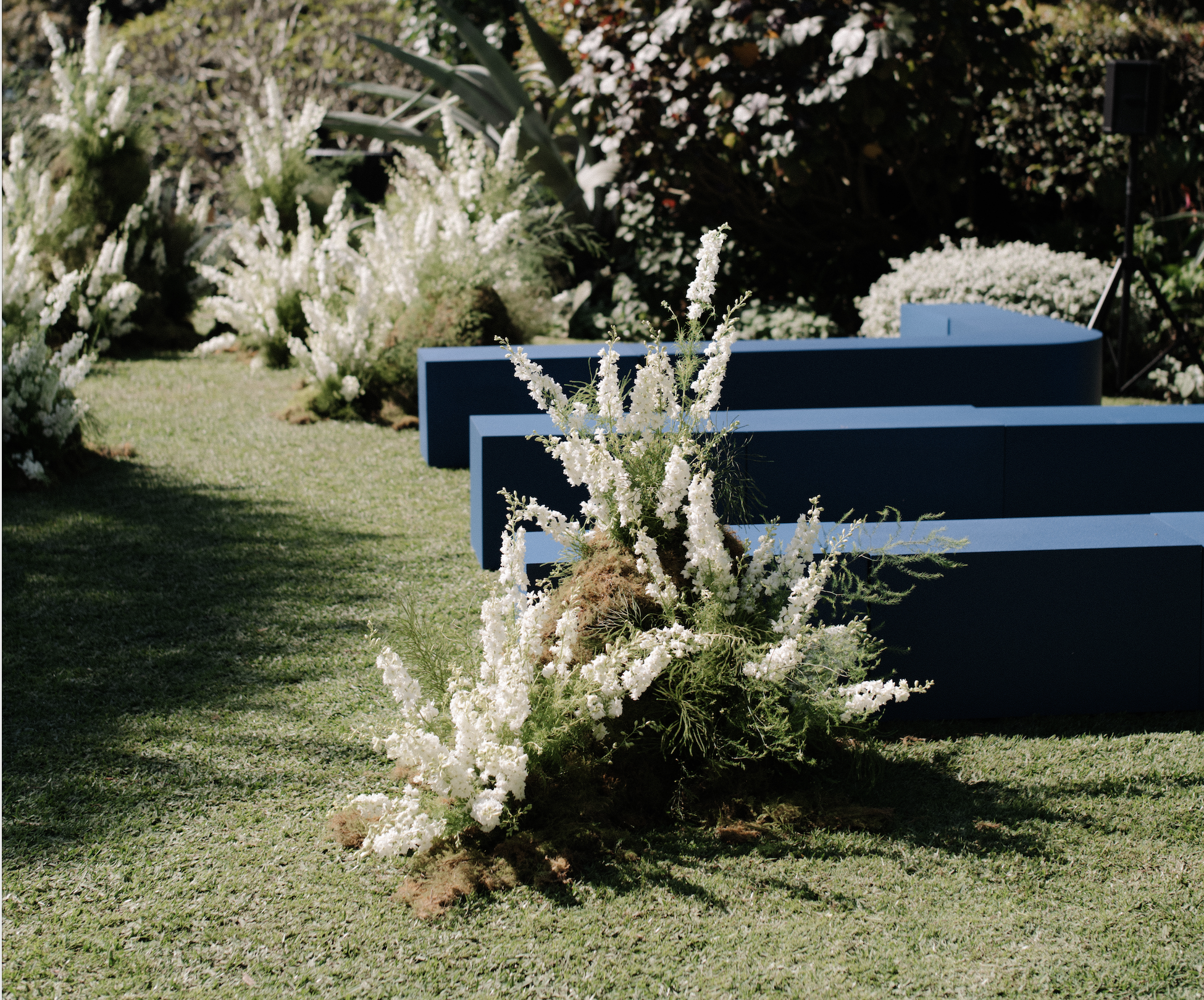 Screen Shot 2024-01-14 at 5.27.15 pm.png