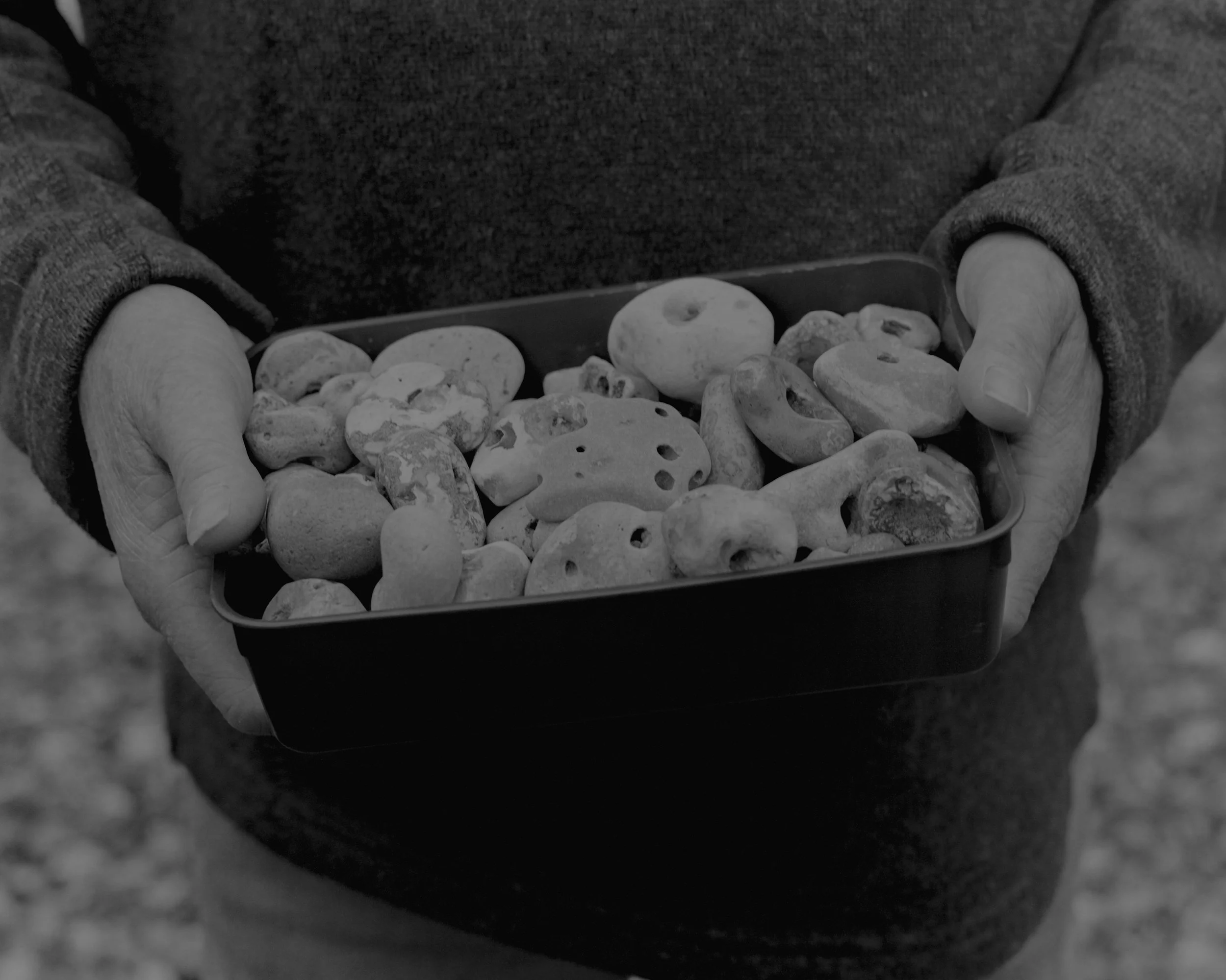 Silly Photo_Landscape_01.jpg