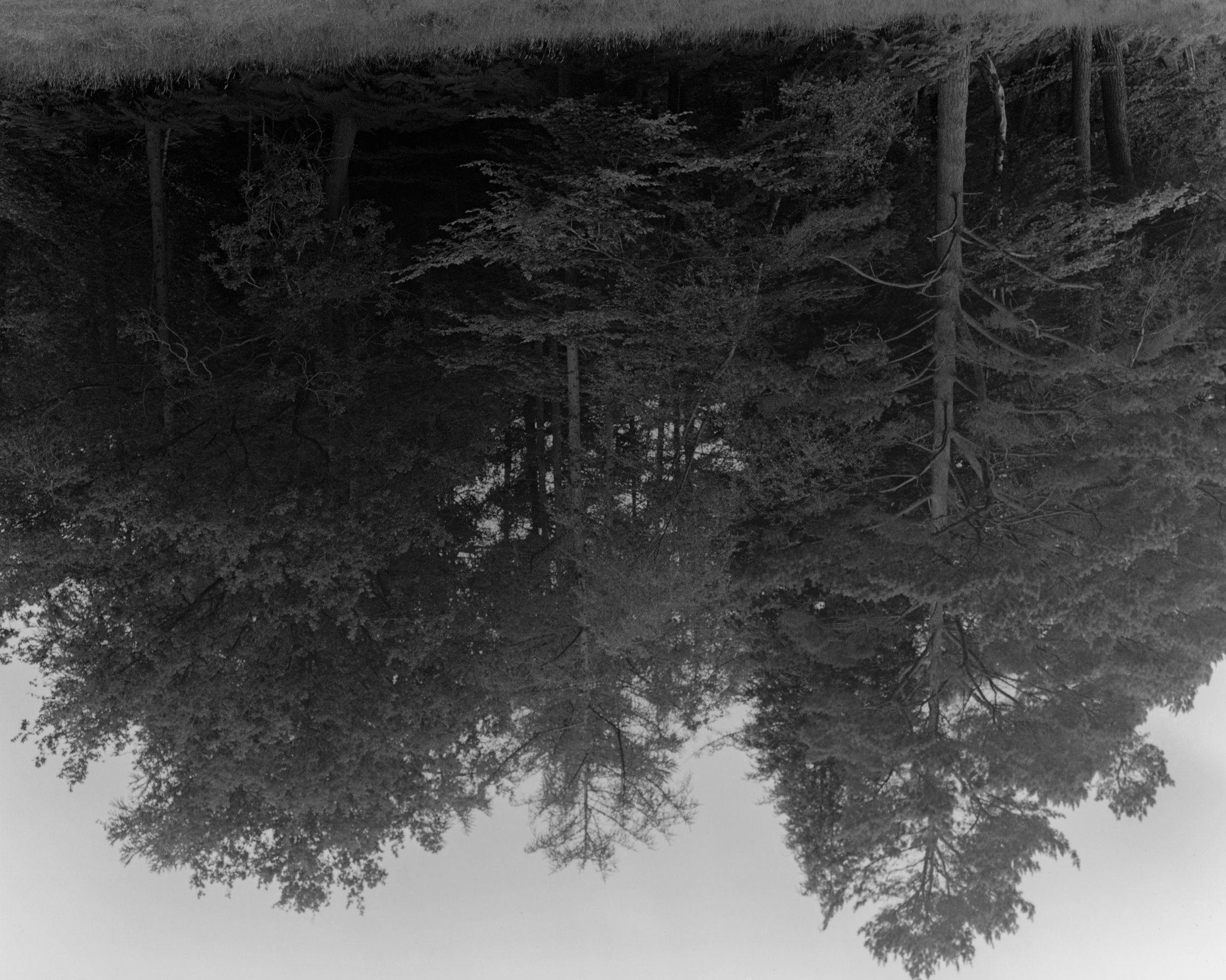 Silly Photo_Landscape_05.jpg