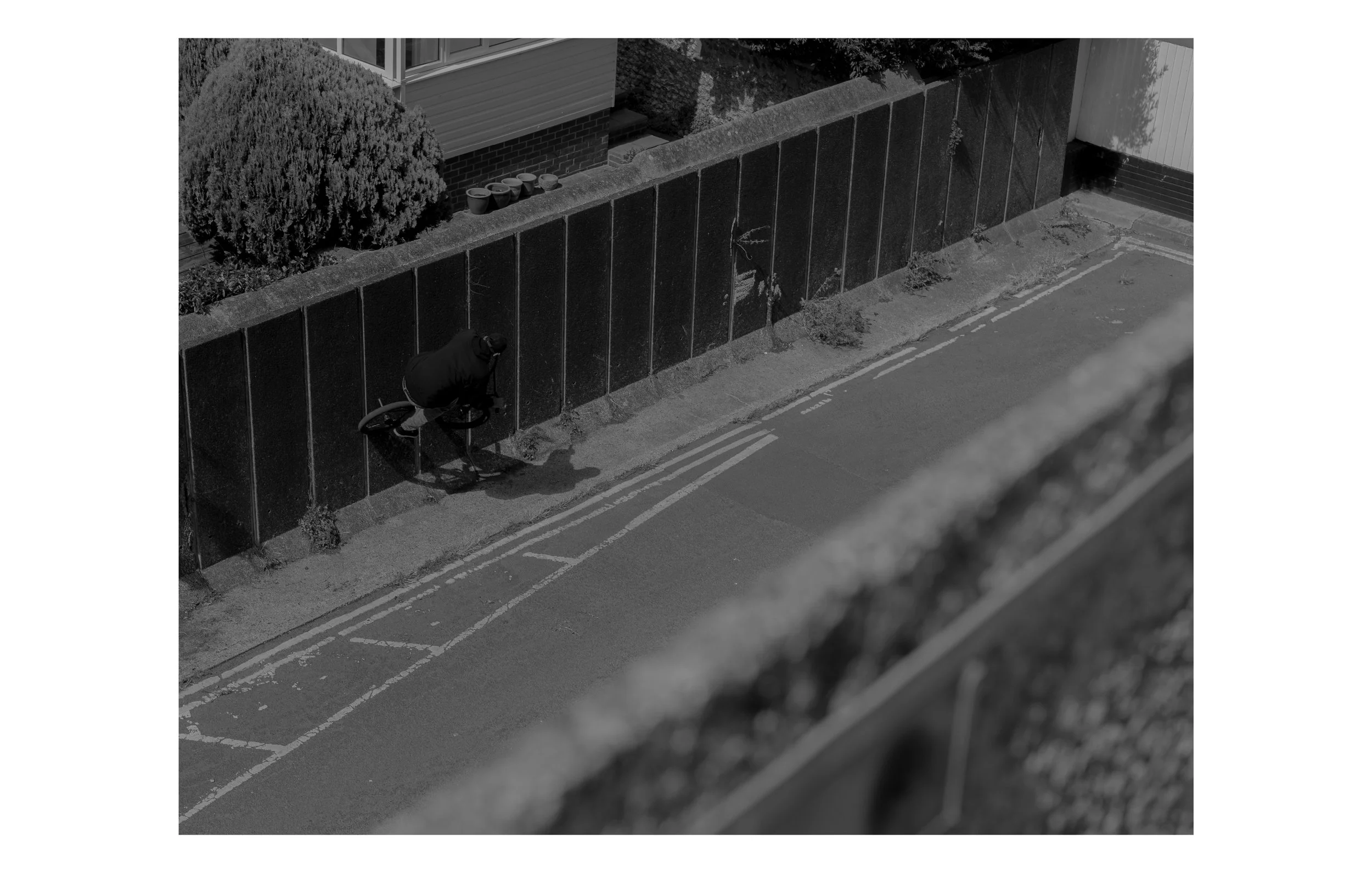 Dogeth Web Sequence_03.jpg