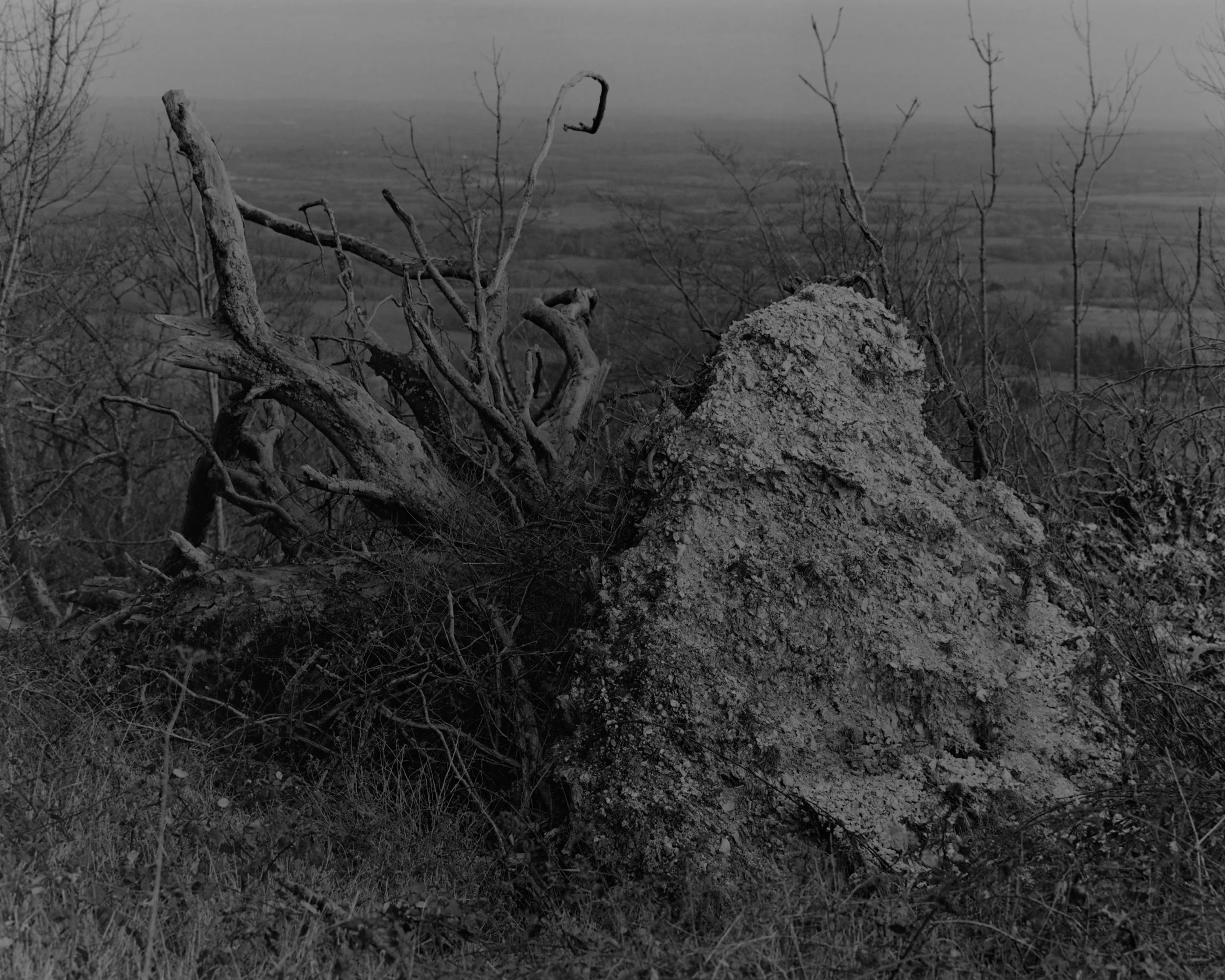 Silly Photo_Landscape_02.jpg