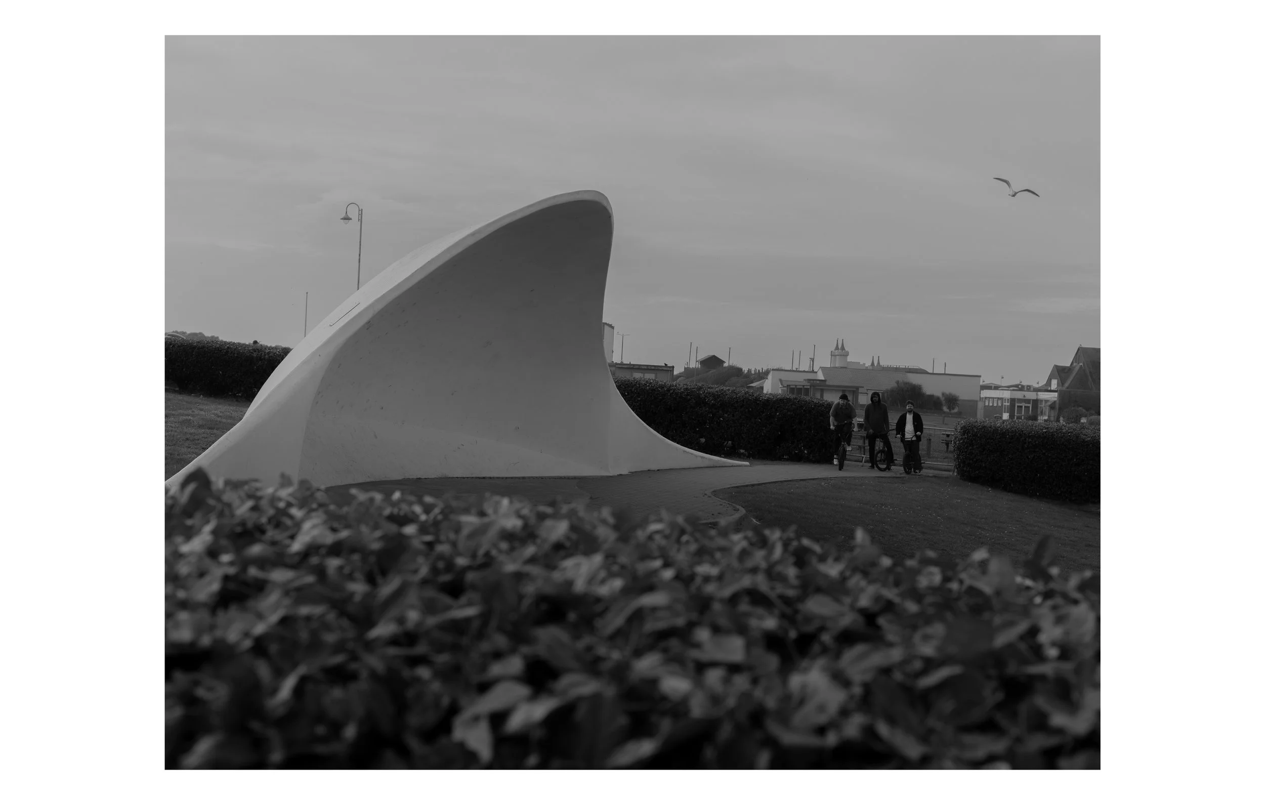 Dogeth Web Sequence_06.jpg