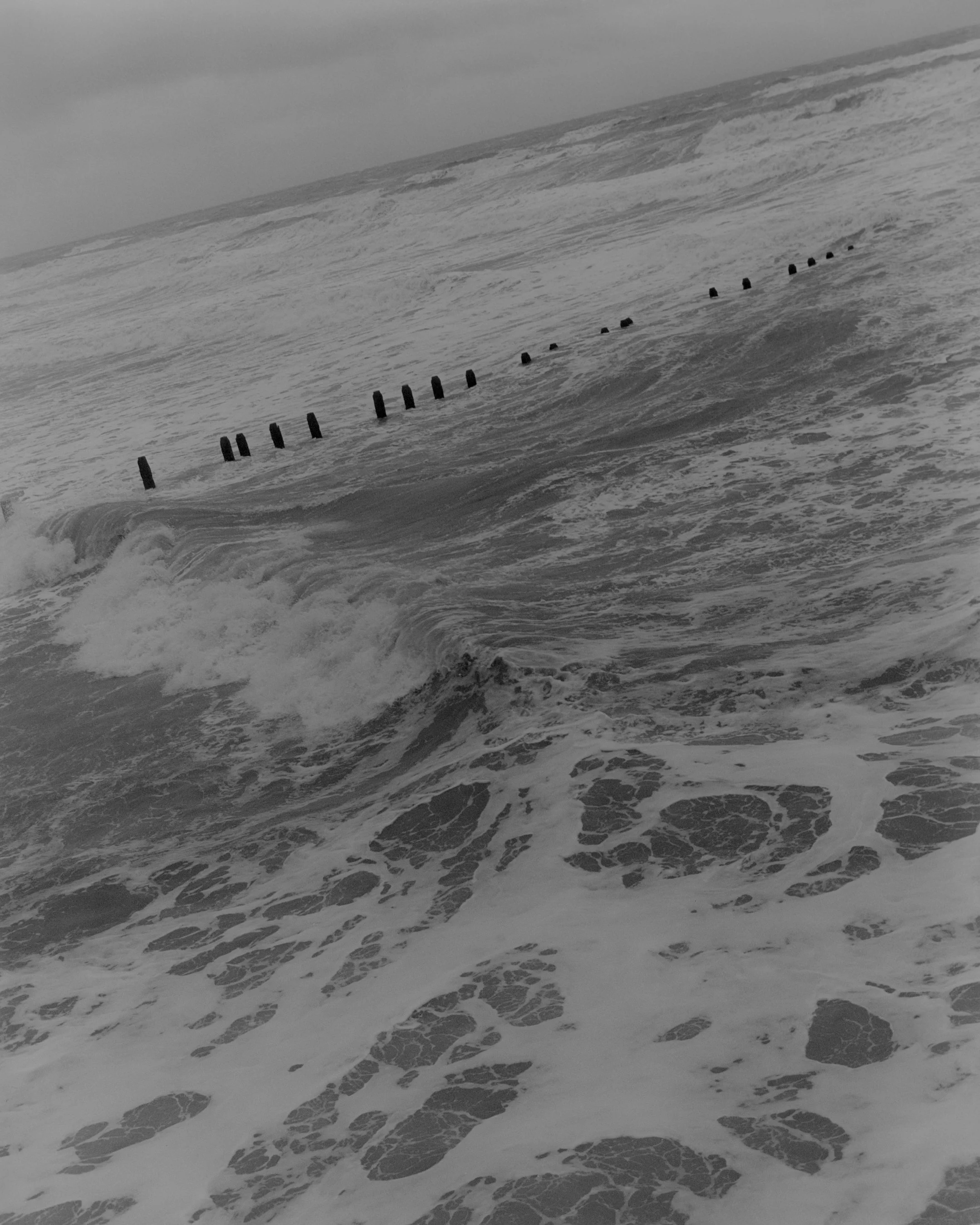 Silly Photo_Portrait_08.jpg