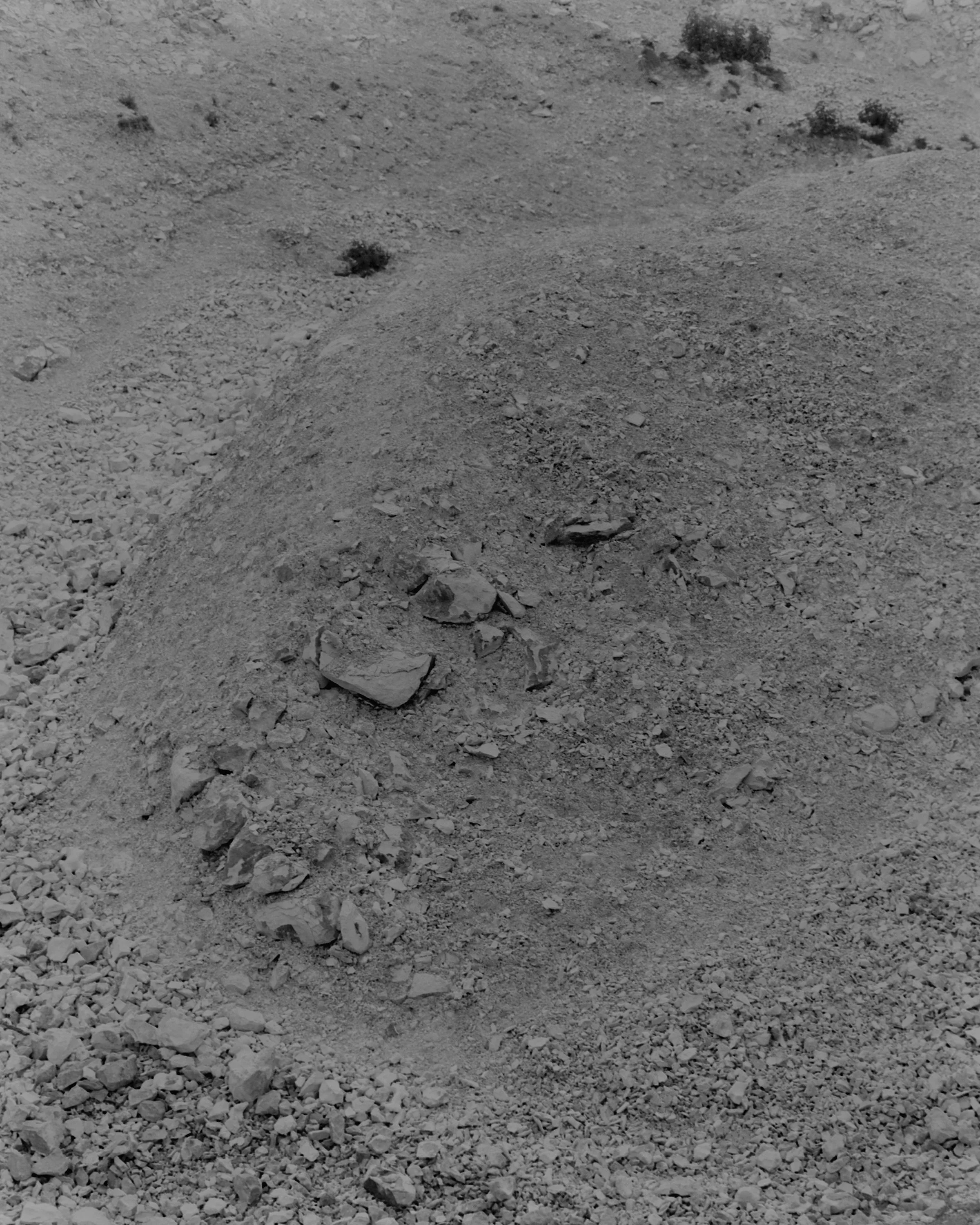 Silly Photo_Portrait_01.jpg