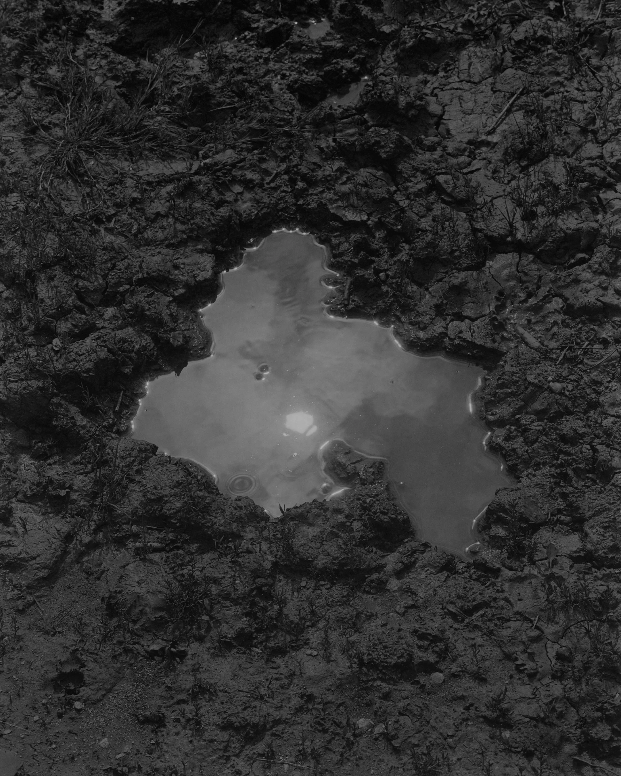 Silly Photo_Portrait_05.jpg