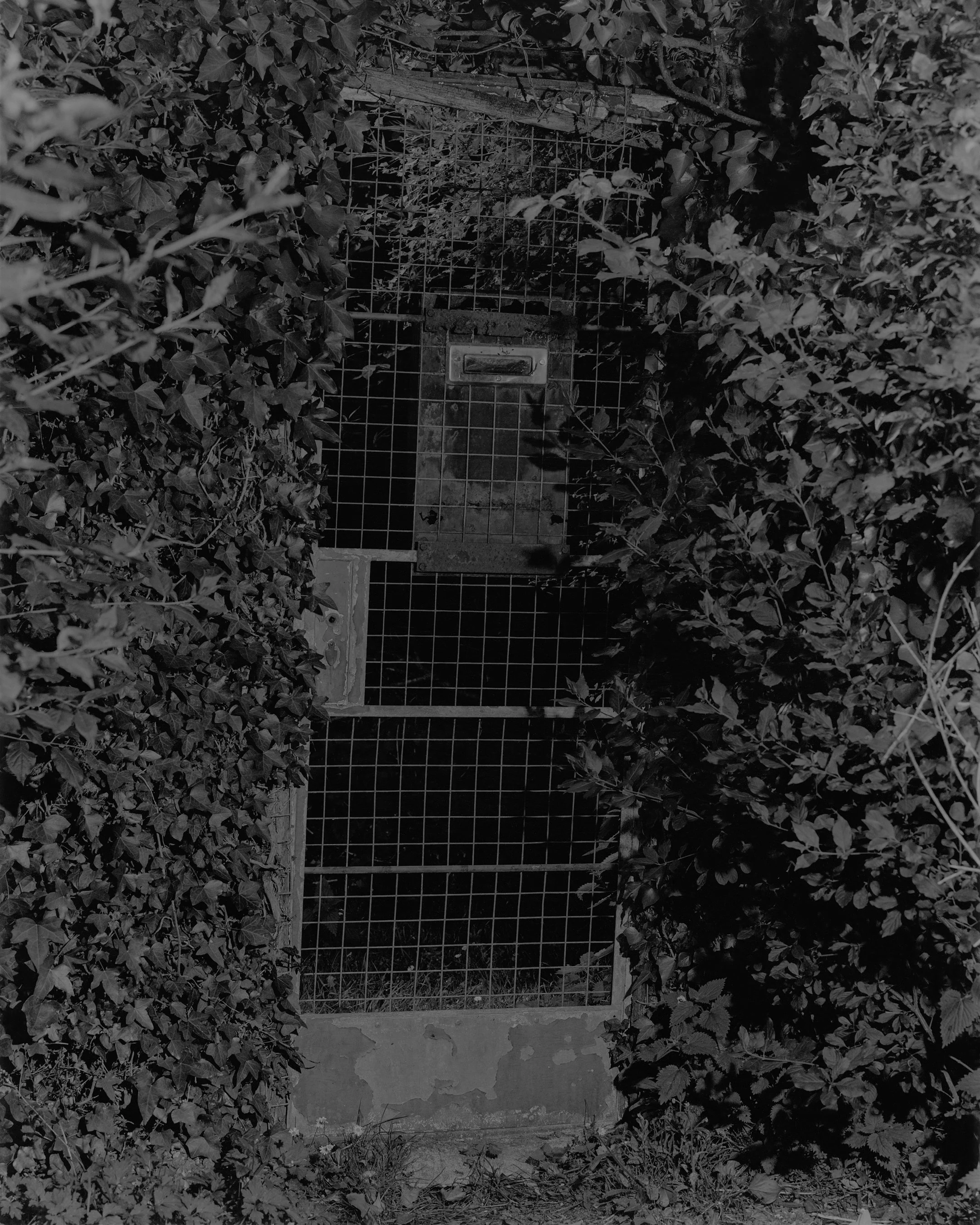 Silly Photo_Portrait_03.jpg