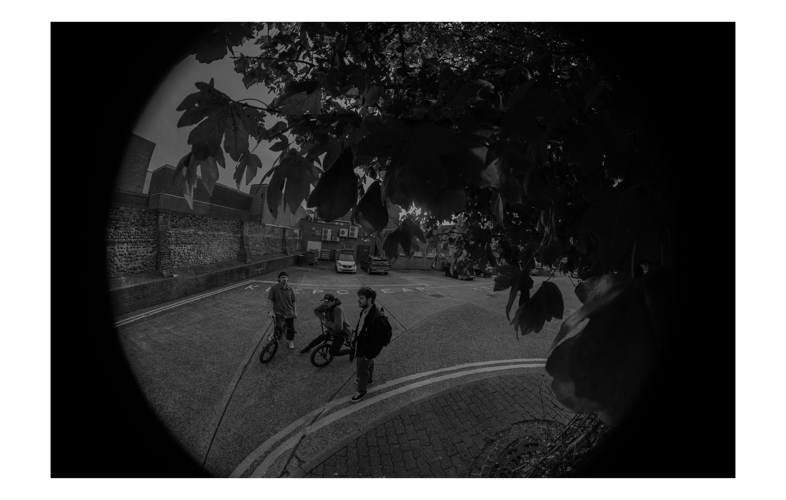 Dogeth Web Sequence_01.jpg