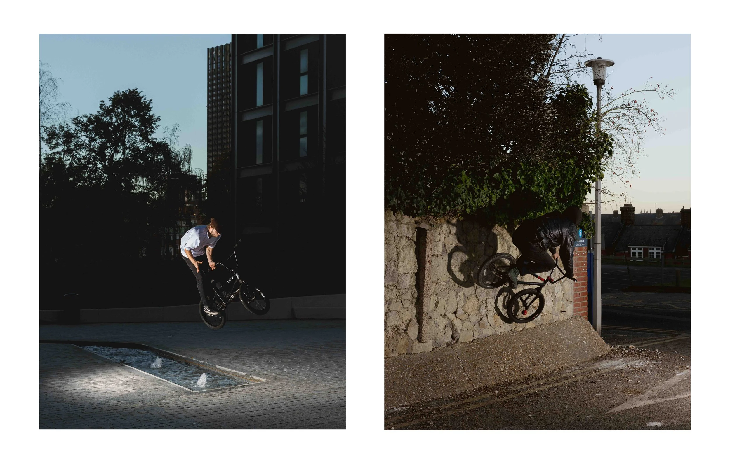 Dogeth Web Sequence_04.jpg