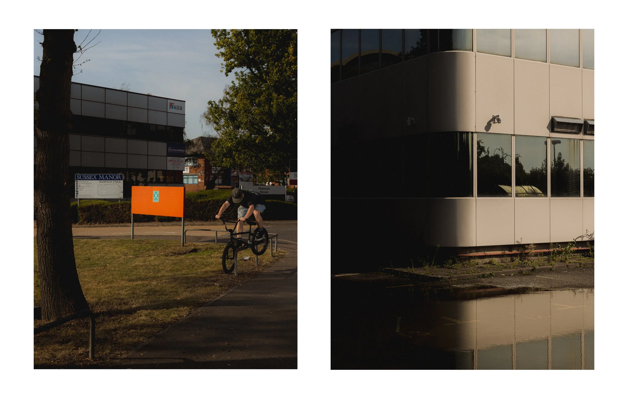 Dogeth Web Sequence_05.jpg