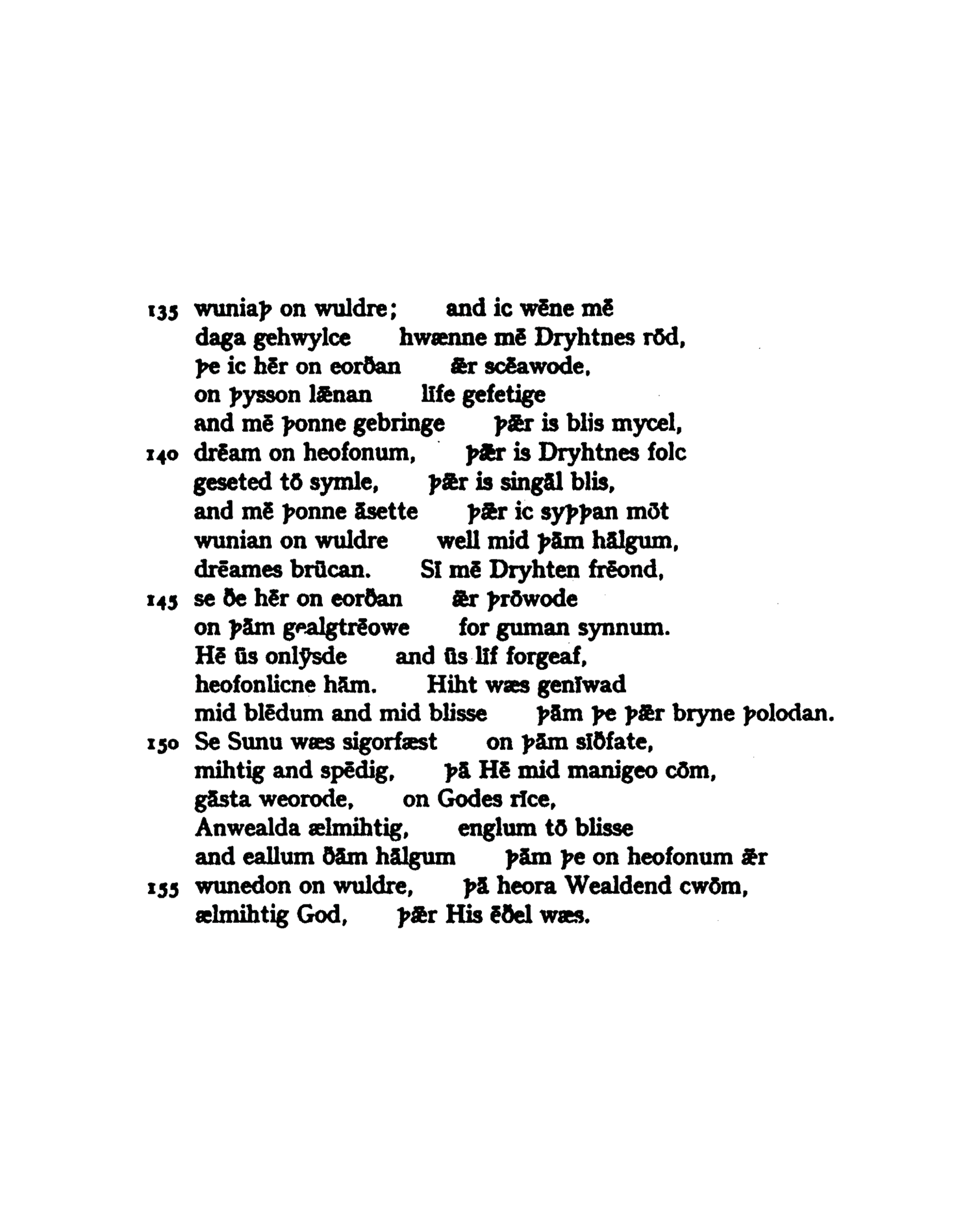 Silly Photo_Portrait_09.png