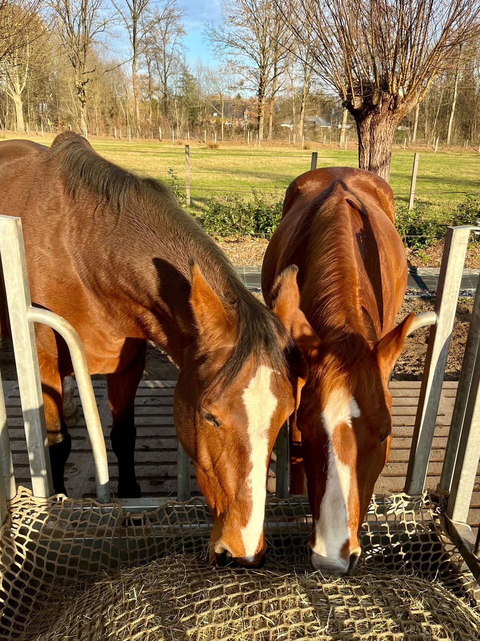 WhatsApp Image 2025-12-13 at 16.07.09.jpeg