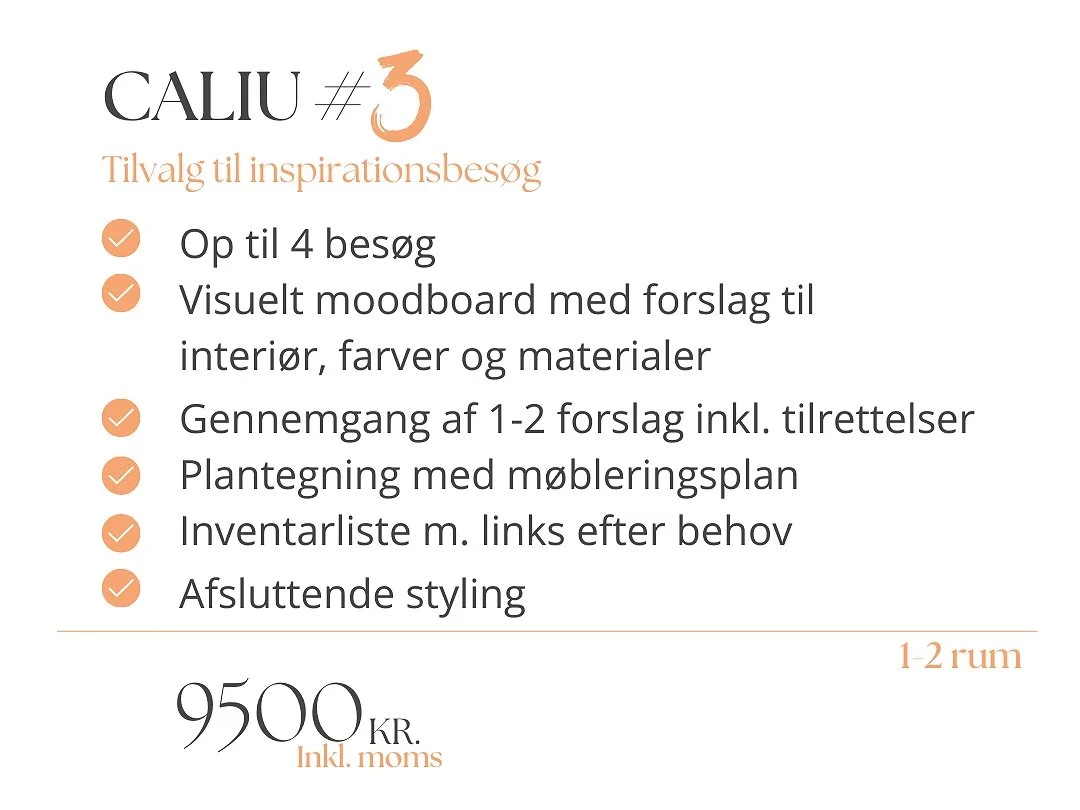 Proceslinje til website.jpg