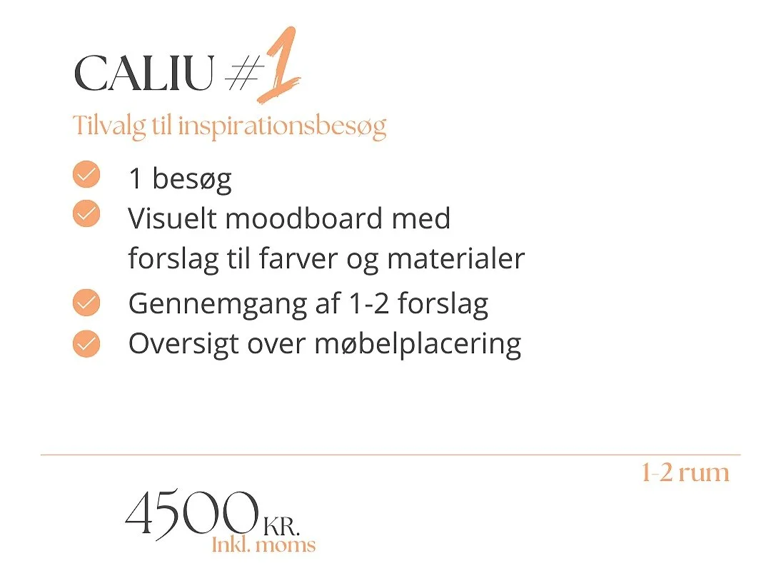 Proceslinje til website.jpg