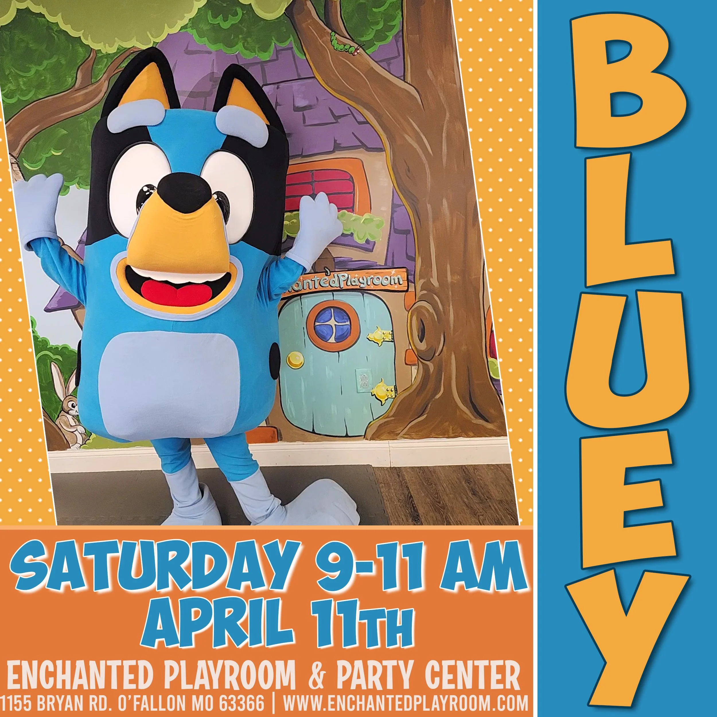 Bluey WEB & SITES.jpg