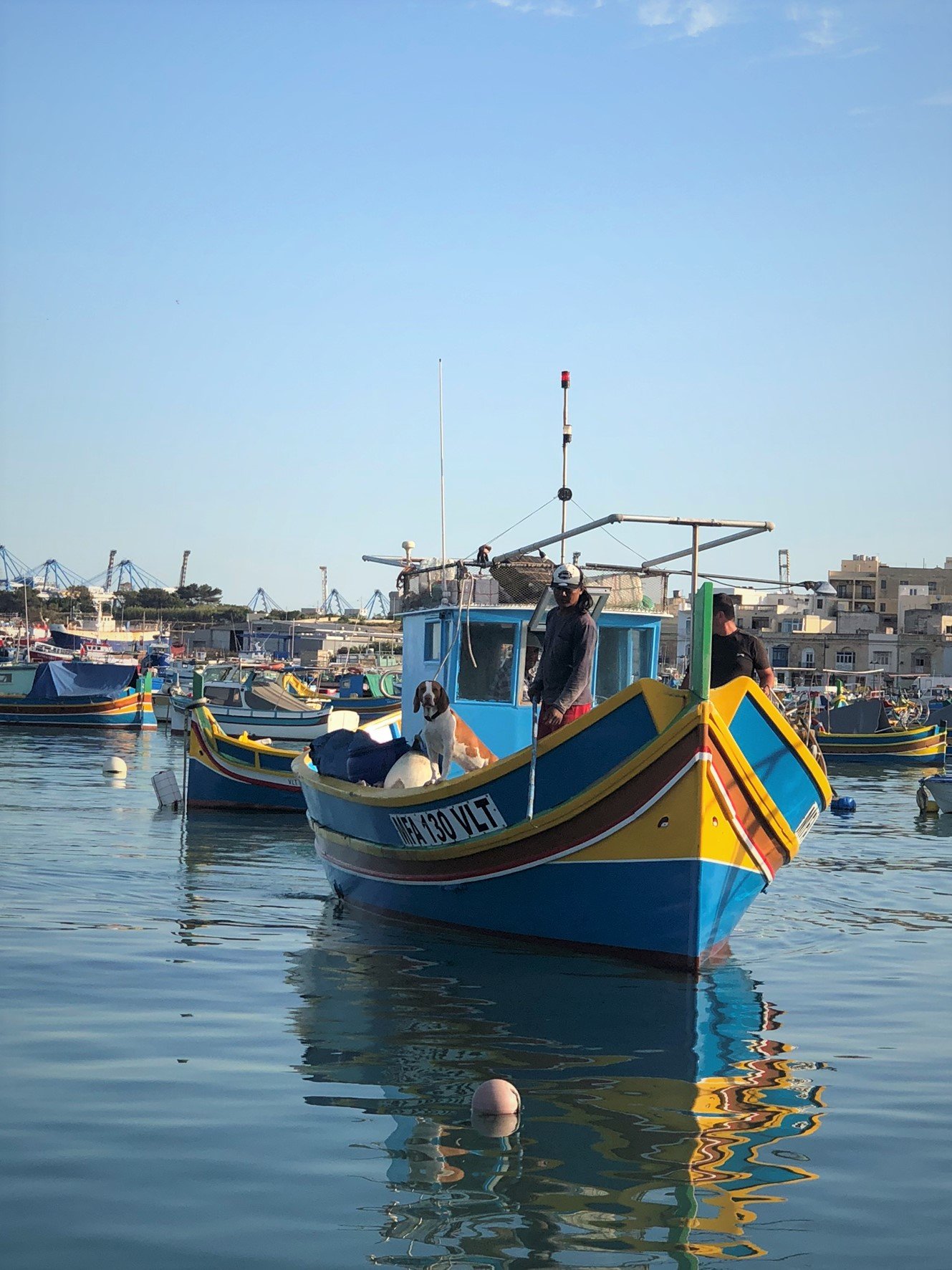 IMG_2680 (2).jpeg